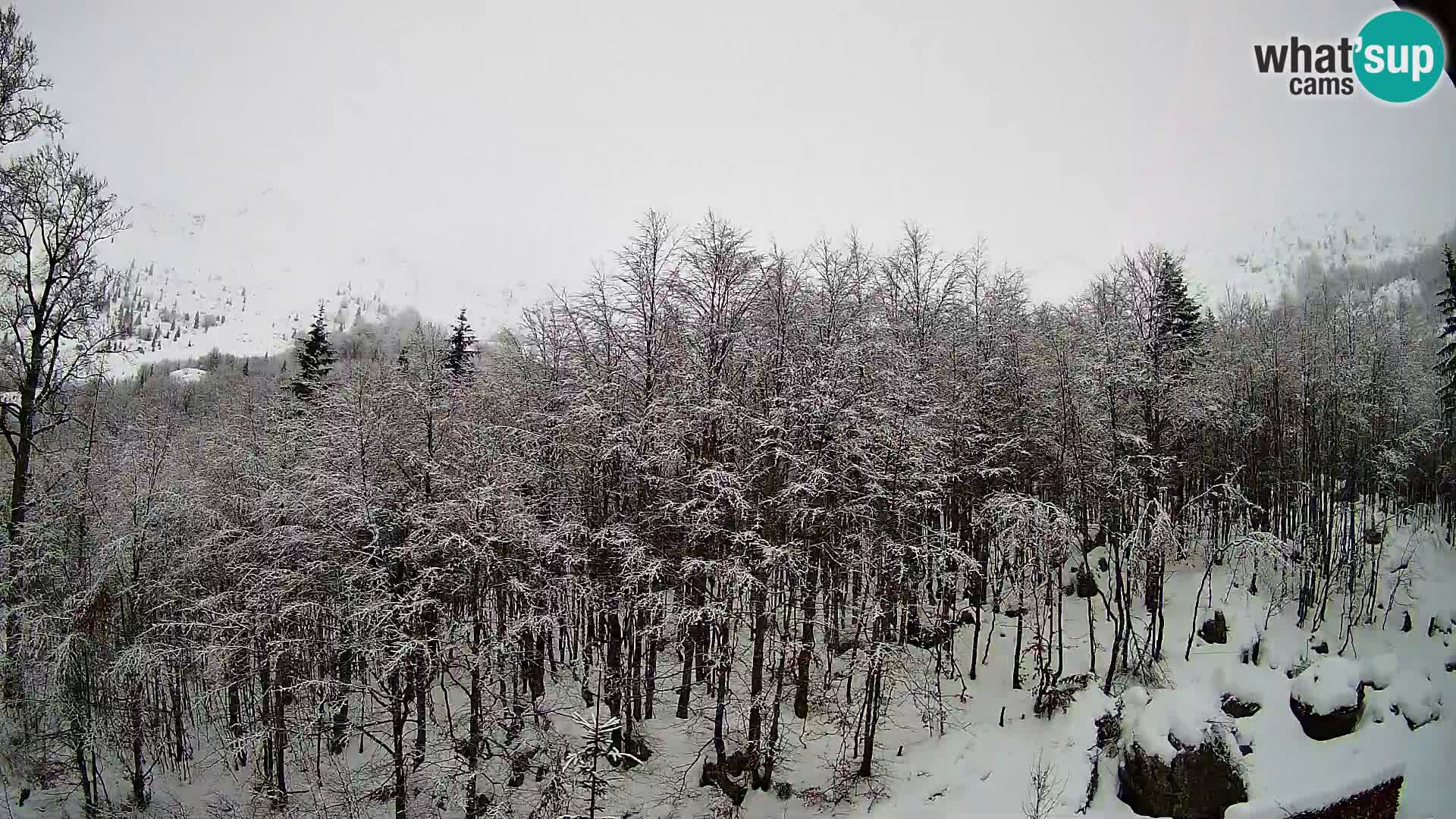 PLANINA RAZOR web kamera (1315) | pogled na Vogel i Globoko