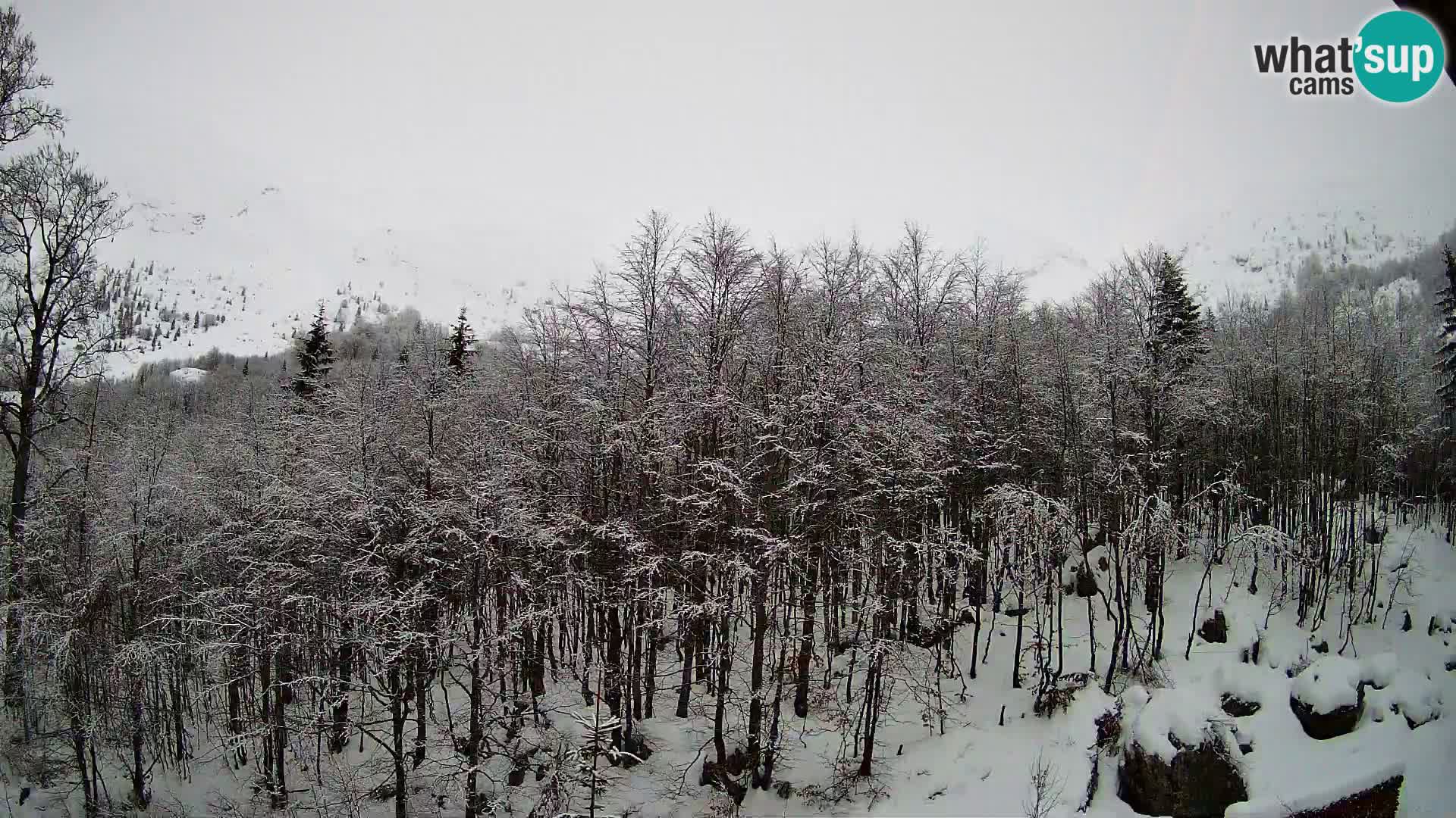 Webcam PLANINA RAZOR (1315) | Blick auf Vogel und Globoko