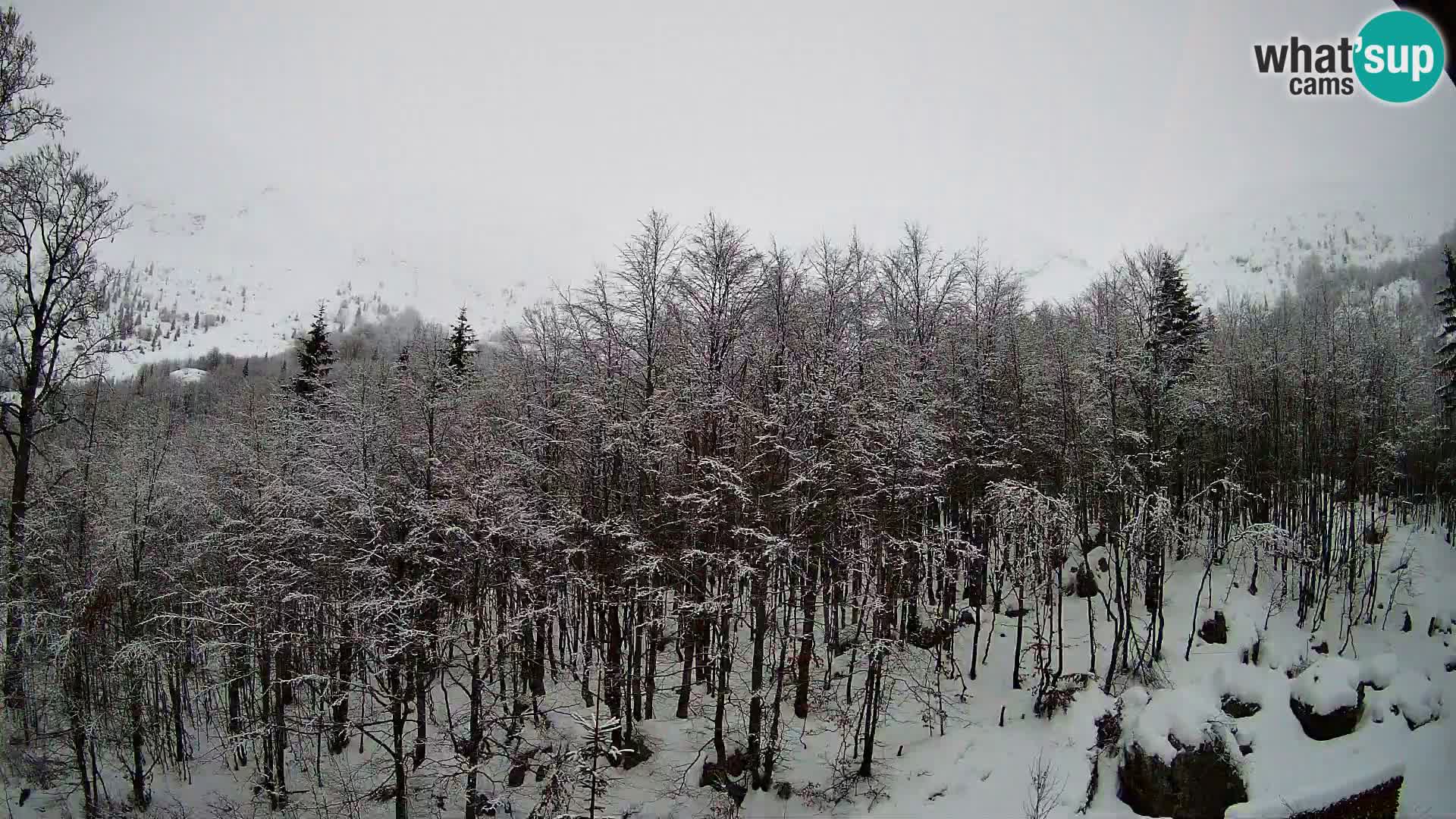 Cámara web PLANINA RAZOR (1315) | vista a Vogel y Globoko