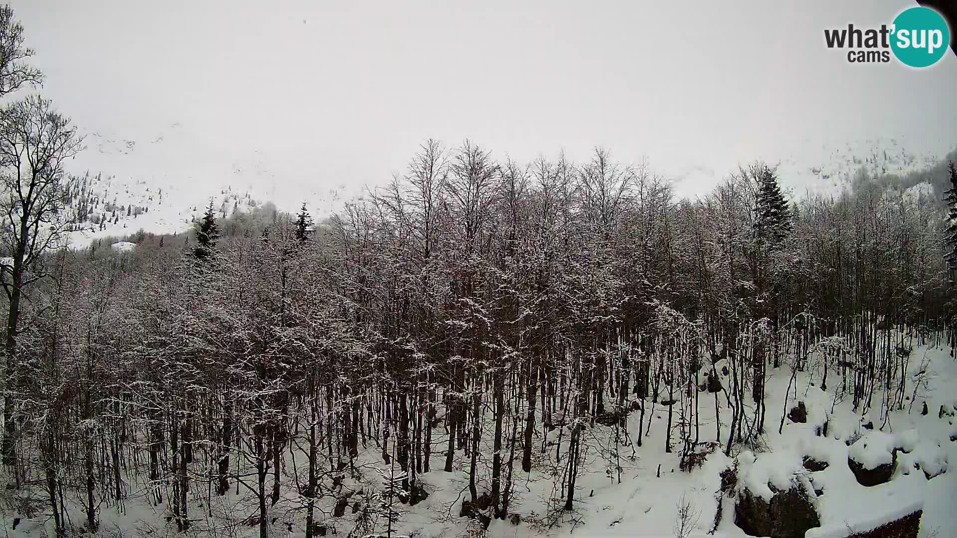 PLANINA RAZOR webcam (1315) | view to Vogel and Globoko