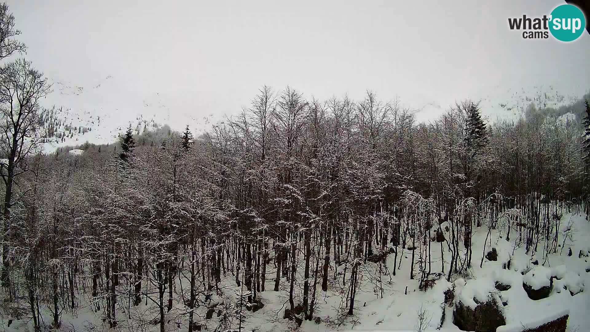 PLANINA RAZOR kamera (1315) | pogled na Vogel in Globoko