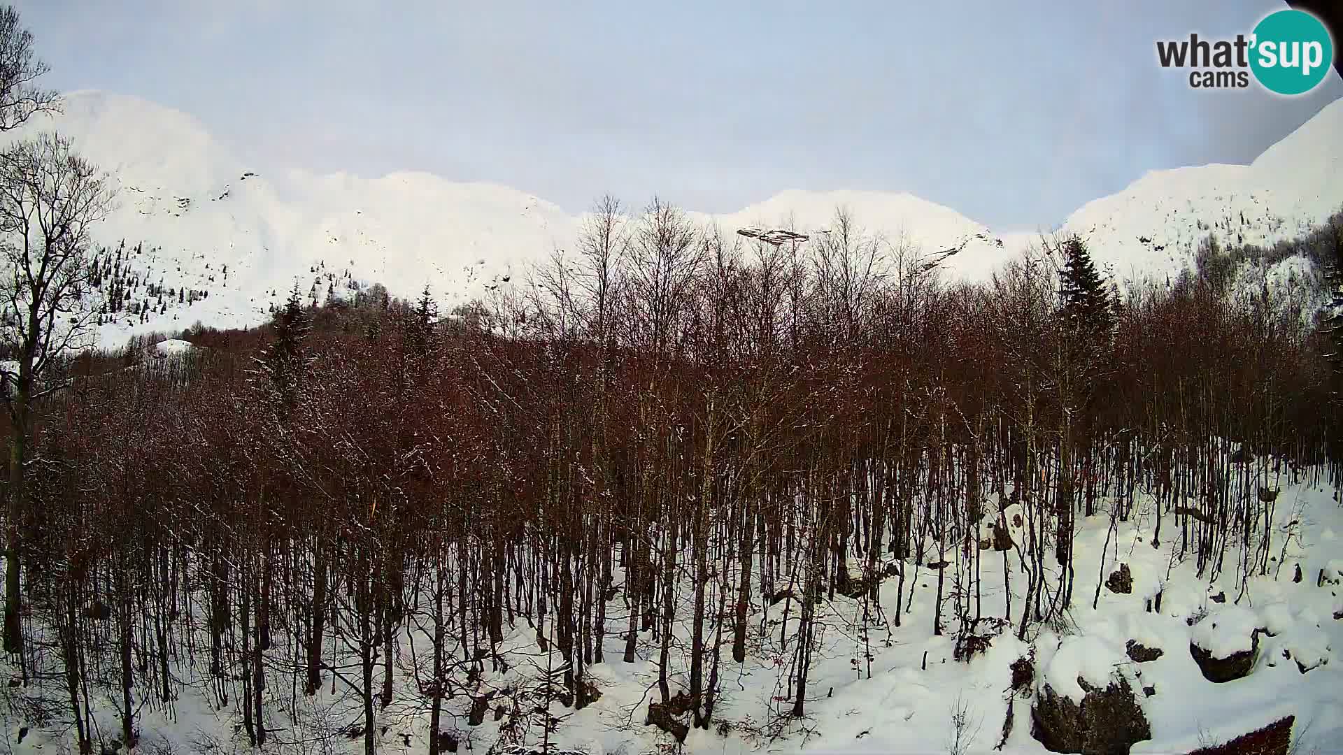 PLANINA RAZOR webcam (1315) | view to Vogel and Globoko
