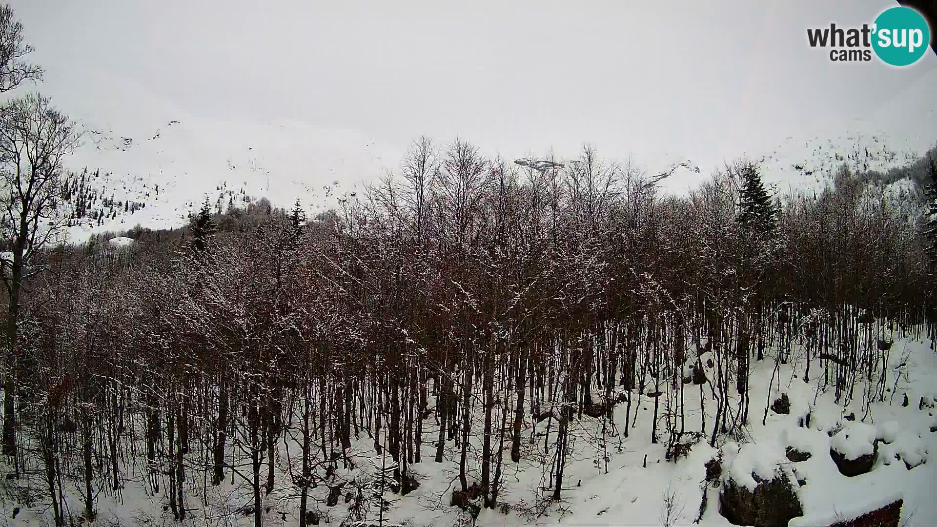 PLANINA RAZOR kamera (1315) | pogled na Vogel in Globoko