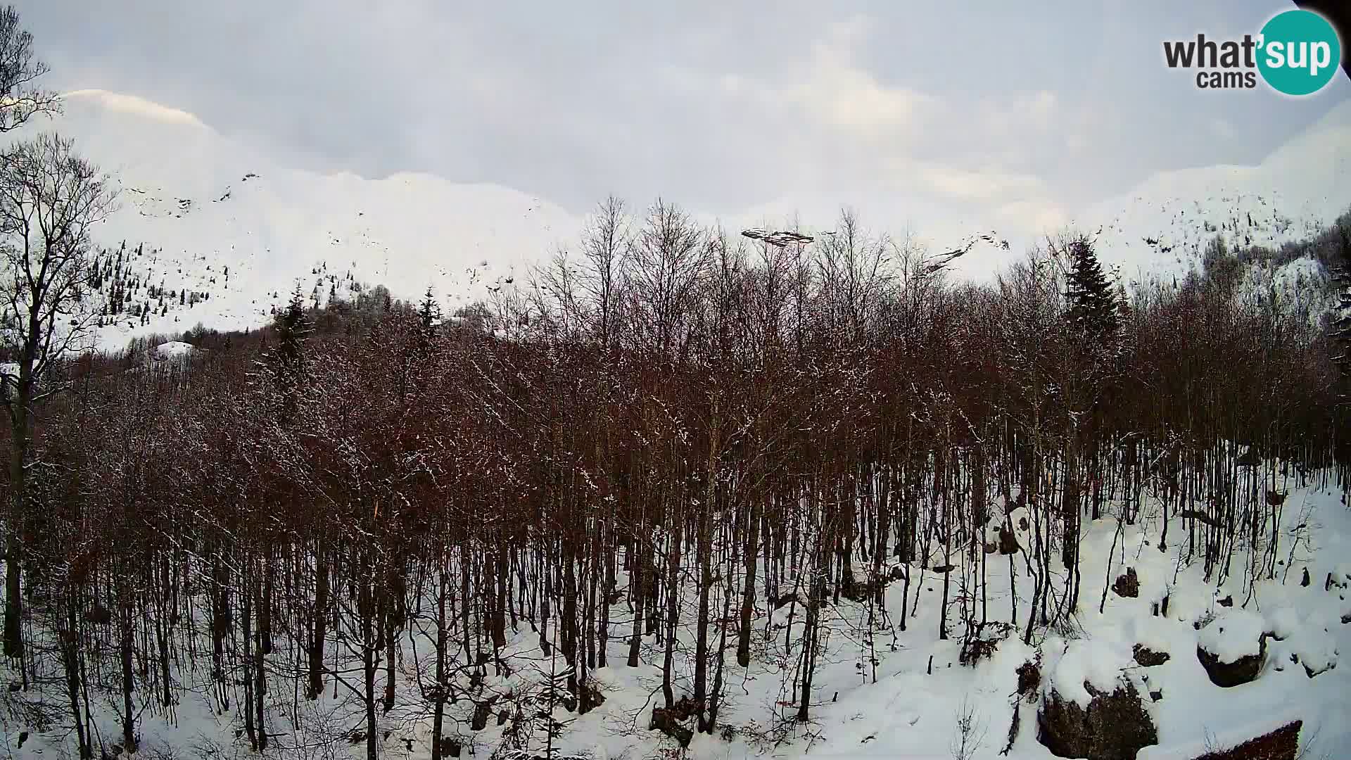 Livecam PLANINA RAZOR (1315) | vue sur Vogel et Globoko