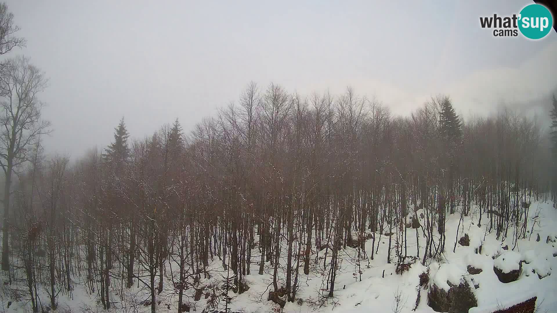 PLANINA RAZOR web kamera (1315) | pogled na Vogel i Globoko