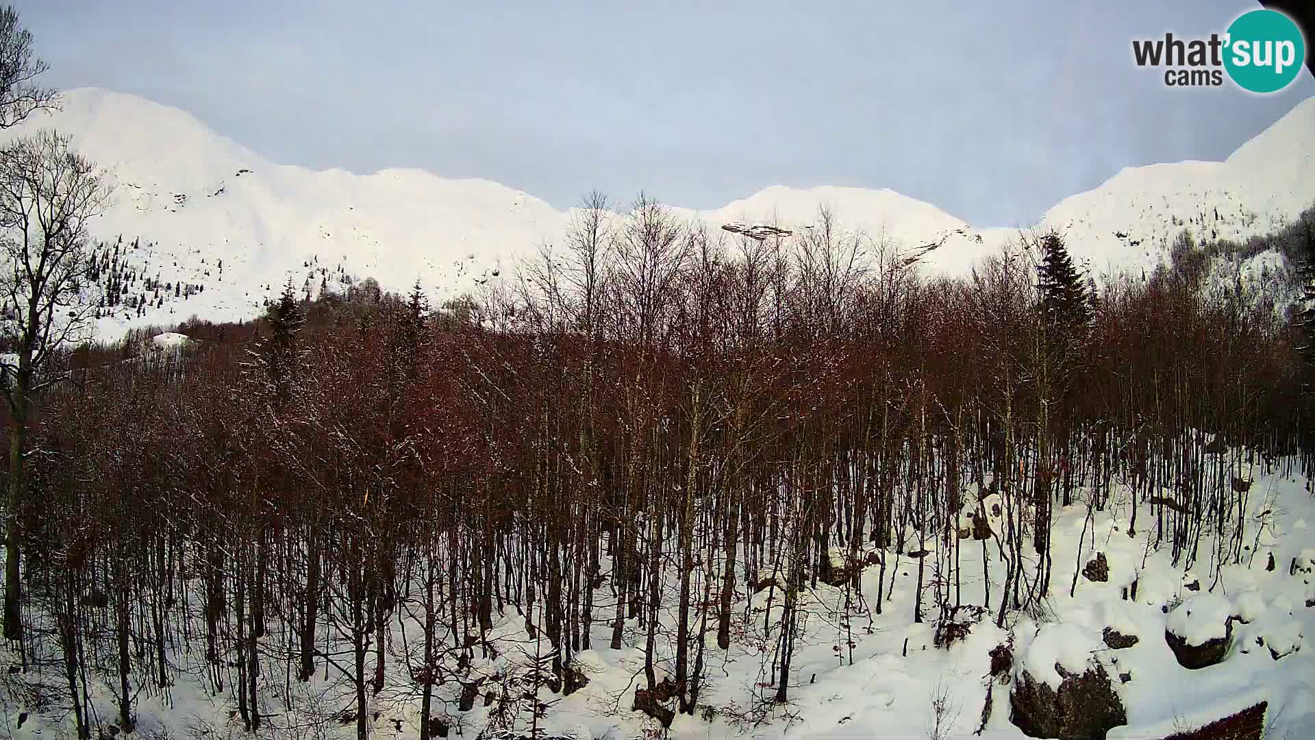 Livecam PLANINA RAZOR (1315) | vue sur Vogel et Globoko