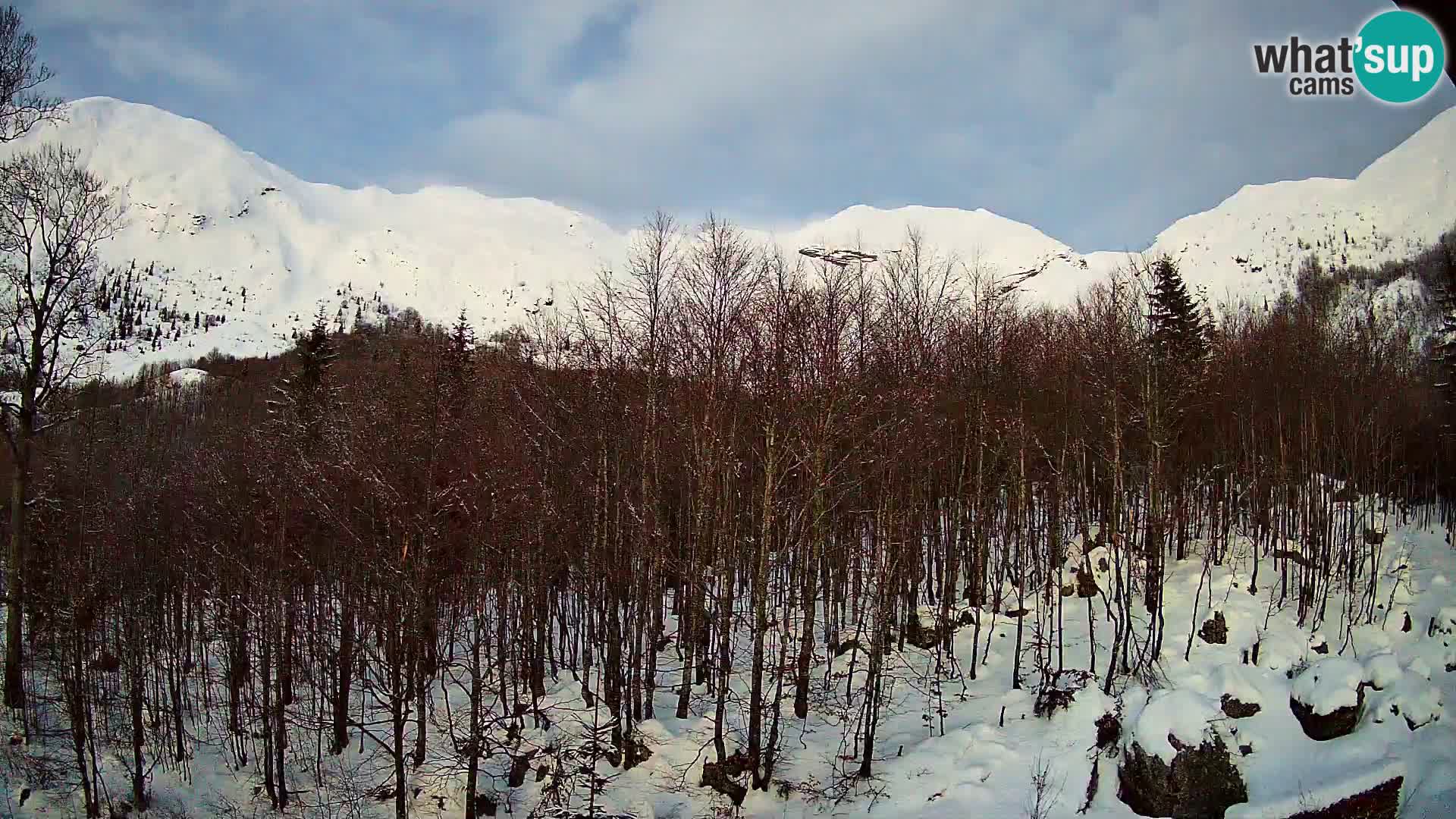 Webcam PLANINA RAZOR (1315) | Blick auf Vogel und Globoko