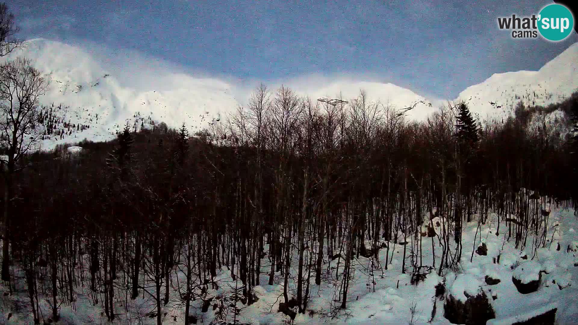 Livecam PLANINA RAZOR (1315) | vue sur Vogel et Globoko