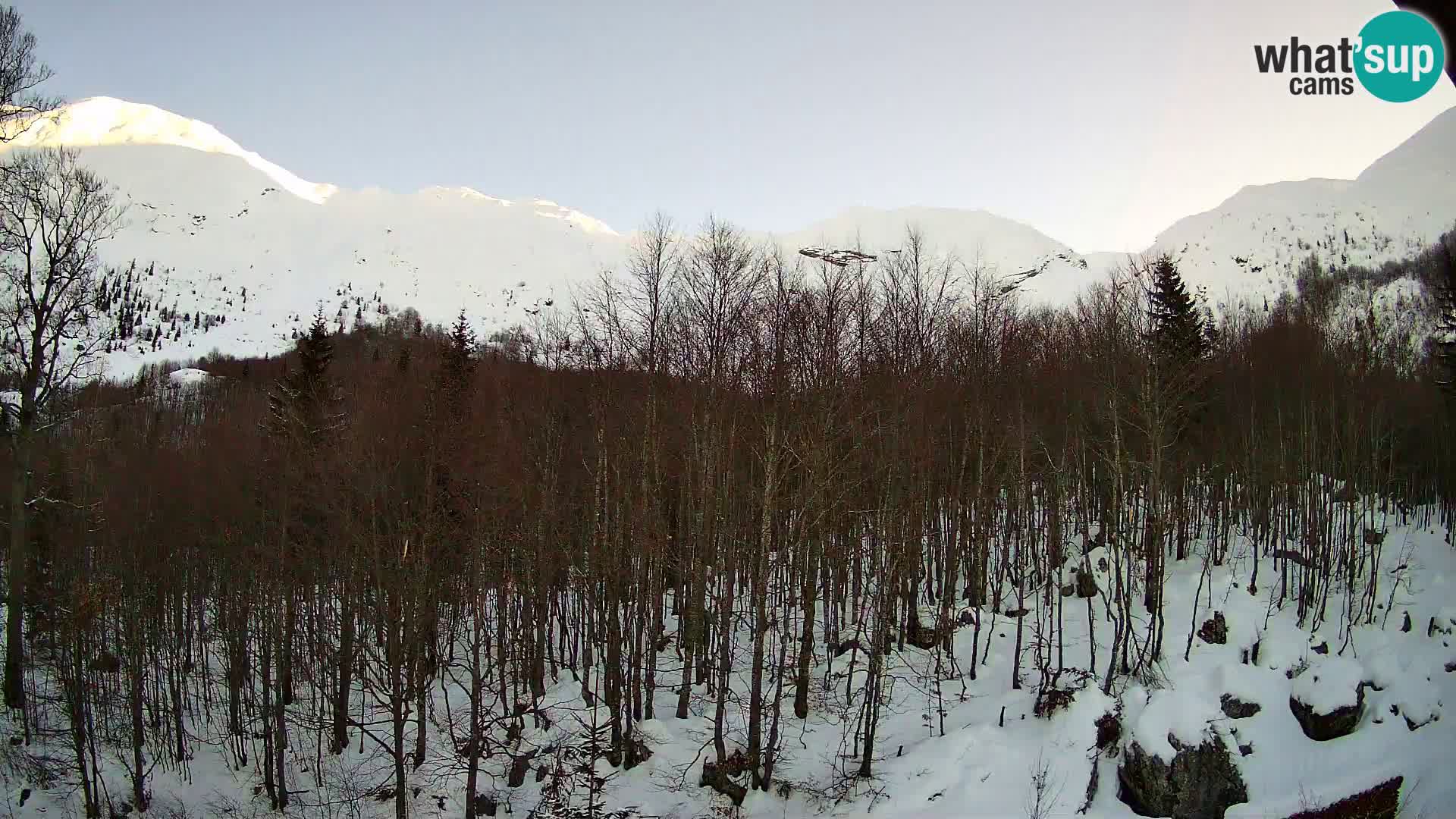 PLANINA RAZOR Live Cam (1315) | vista su Vogel e Globoko