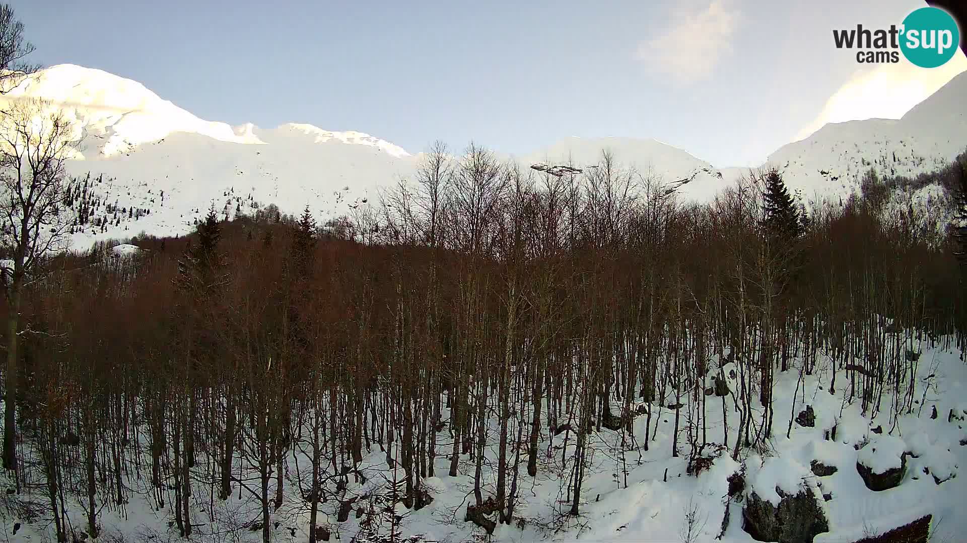PLANINA RAZOR webcam (1315) | view to Vogel and Globoko