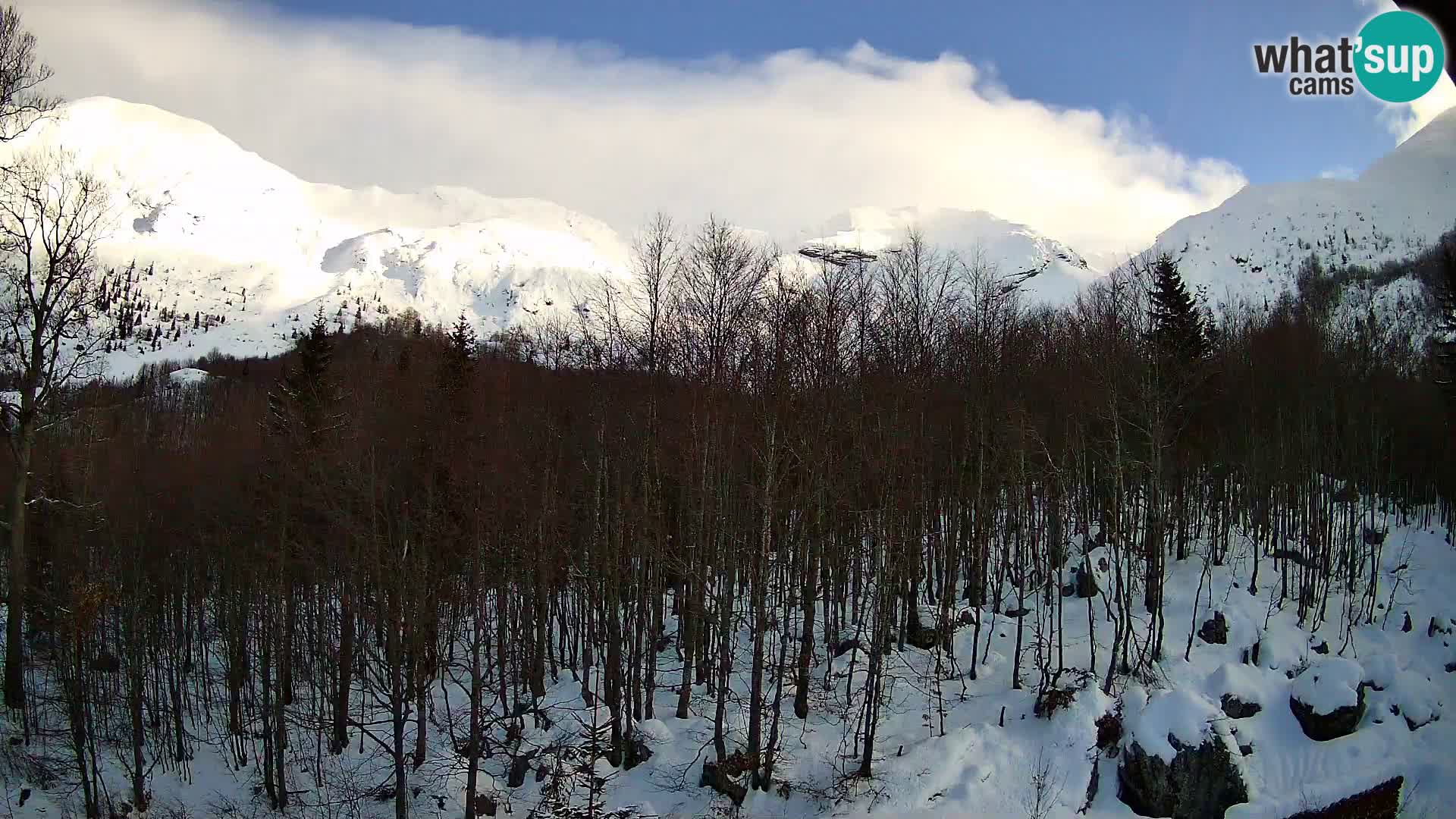 PLANINA RAZOR kamera (1315) | pogled na Vogel in Globoko