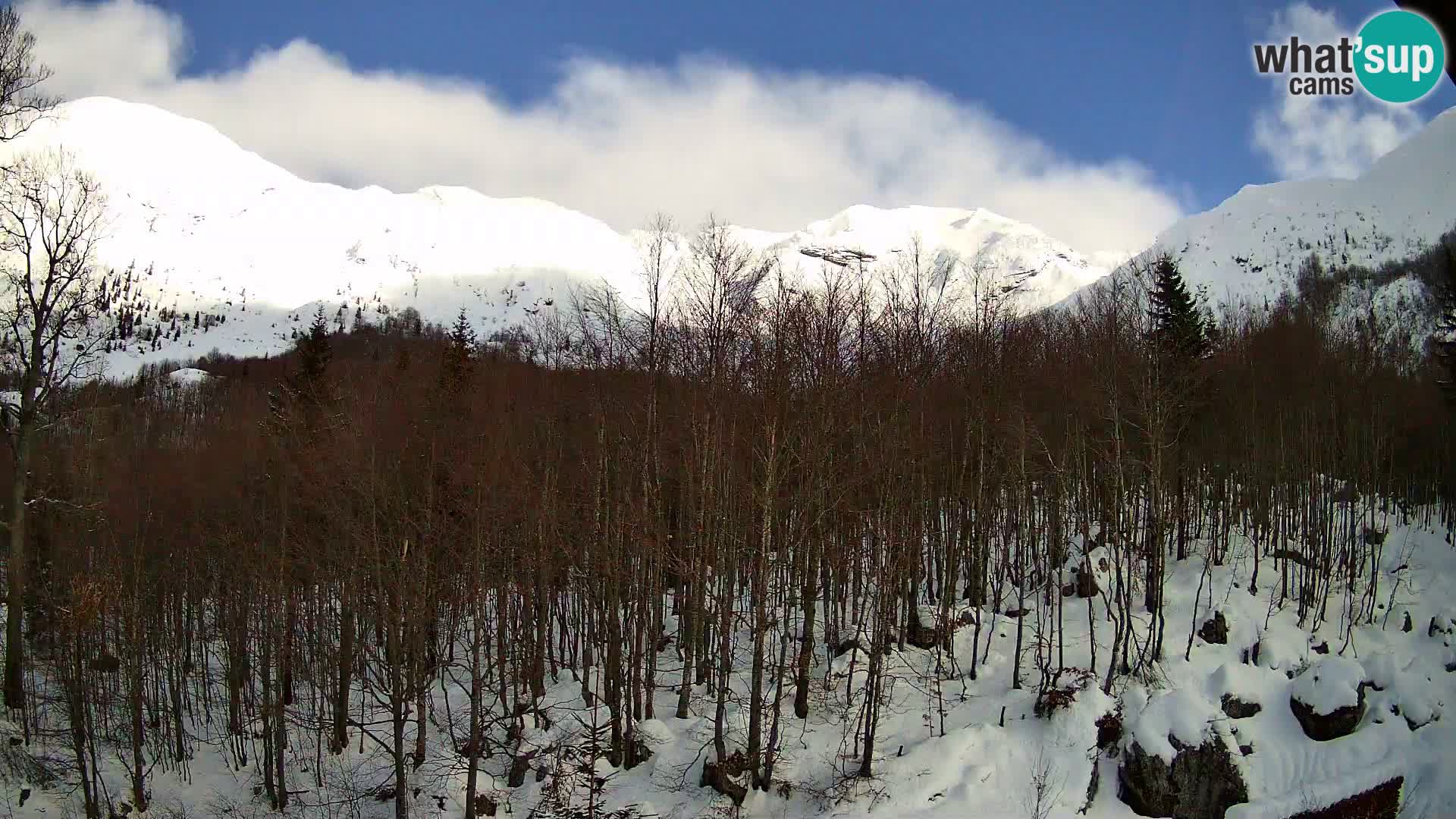 PLANINA RAZOR kamera (1315) | pogled na Vogel in Globoko