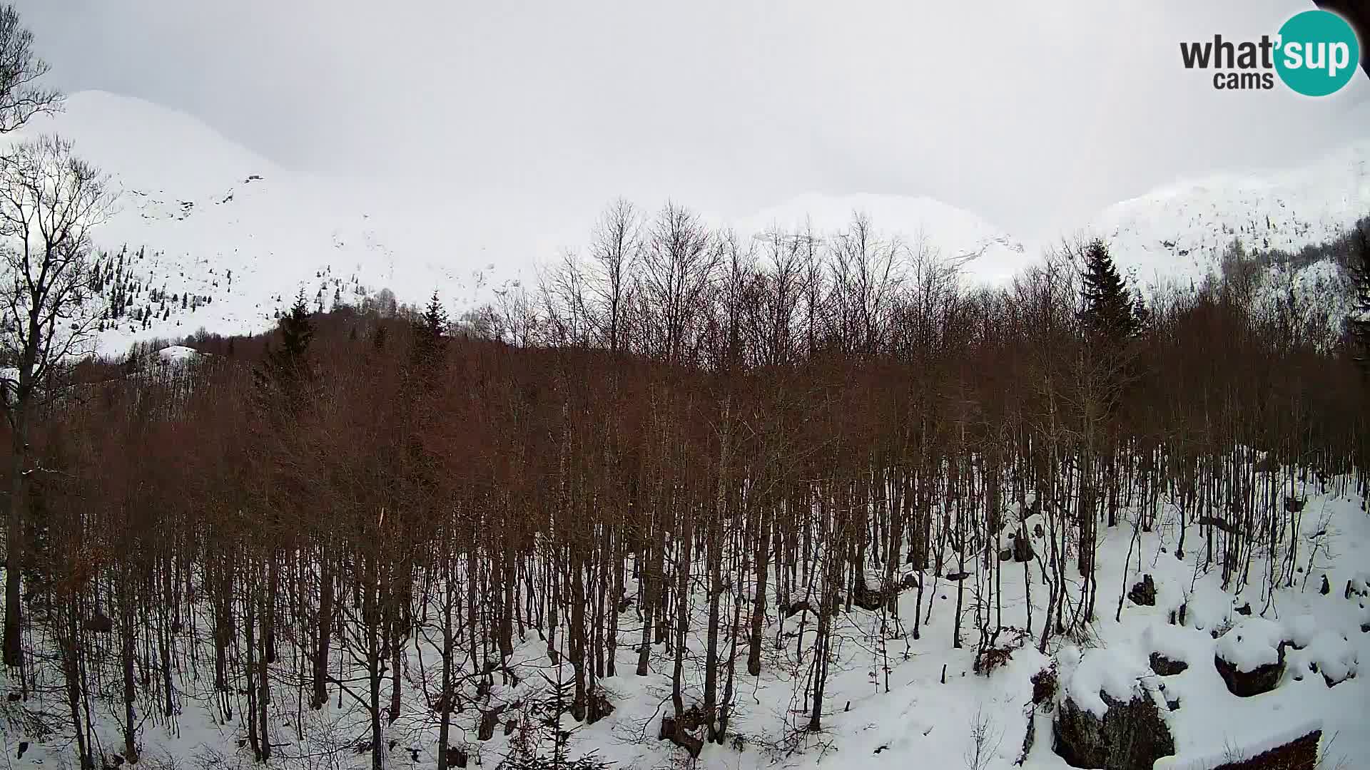 PLANINA RAZOR kamera (1315) | pogled na Vogel in Globoko