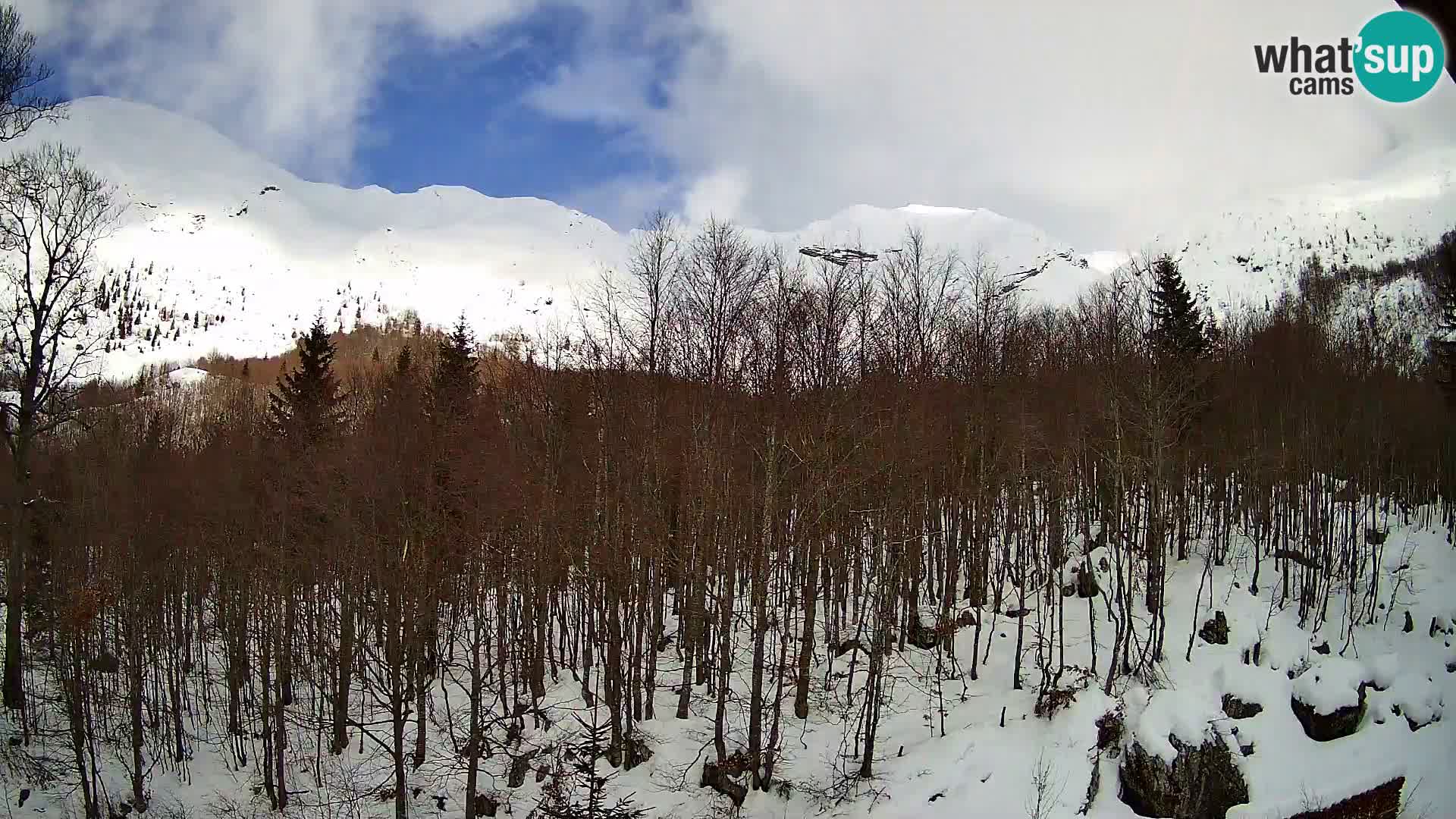 Cámara web PLANINA RAZOR (1315) | vista a Vogel y Globoko