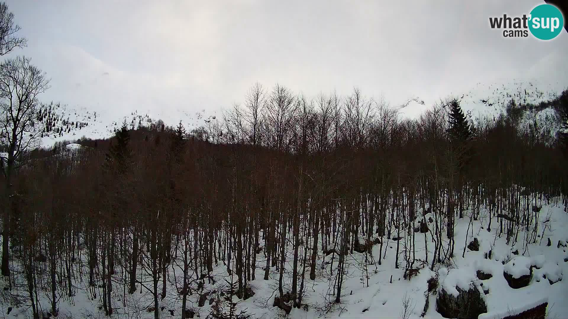 Webcam PLANINA RAZOR (1315) | Blick auf Vogel und Globoko