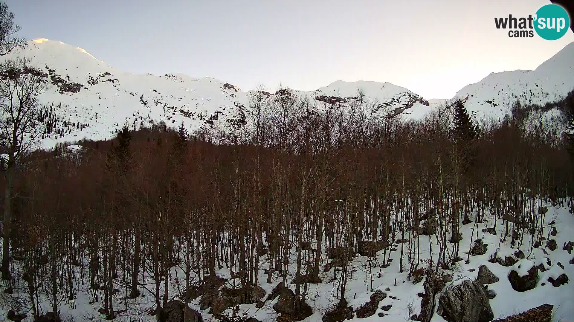 Webcam PLANINA RAZOR (1315) | Blick auf Vogel und Globoko