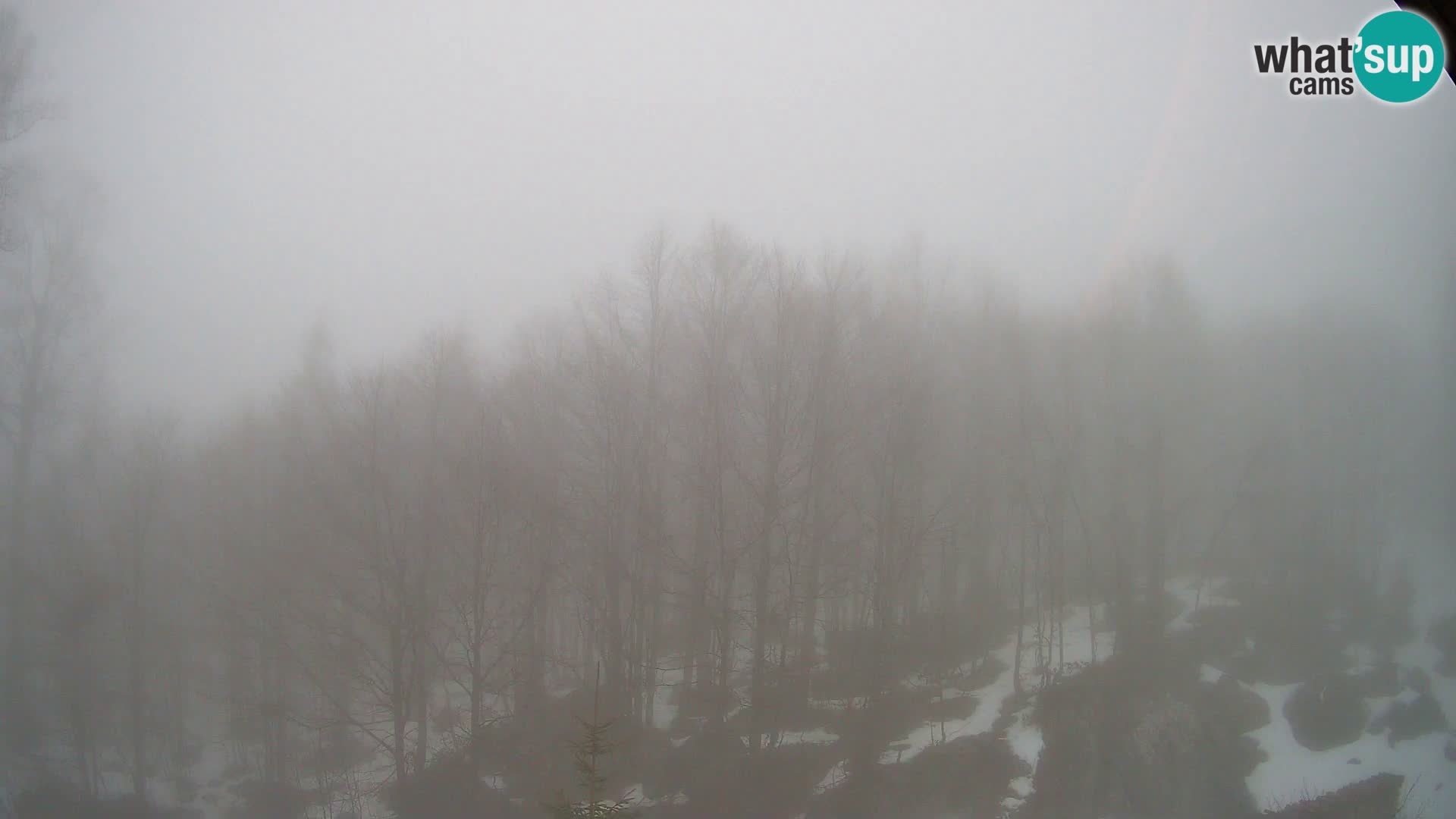 PLANINA RAZOR webcam (1315) | view to Vogel and Globoko