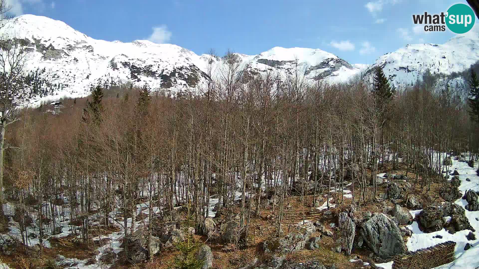 PLANINA RAZOR kamera (1315) | pogled na Vogel in Globoko