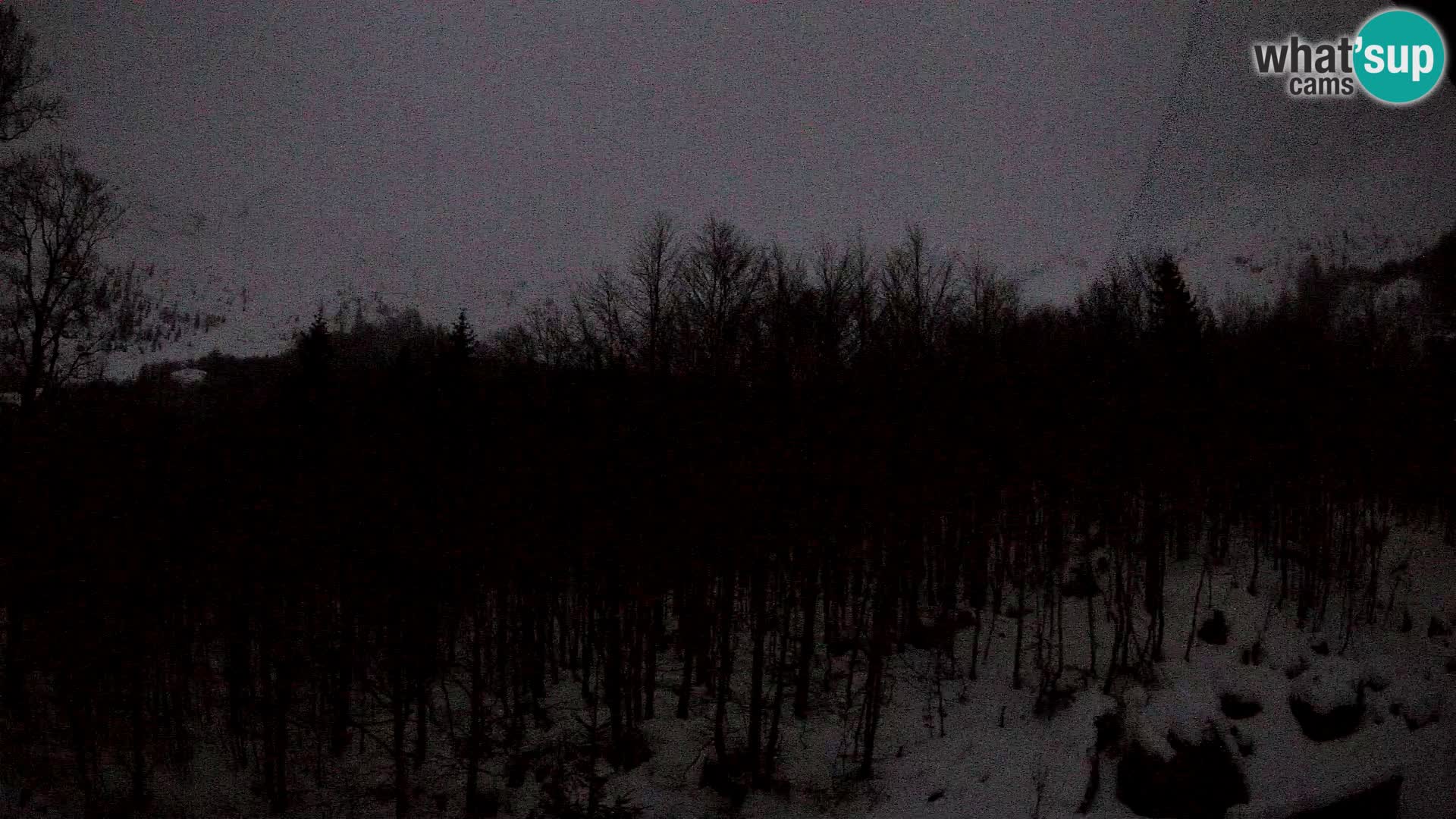 PLANINA RAZOR Live Cam (1315) | vista su Vogel e Globoko