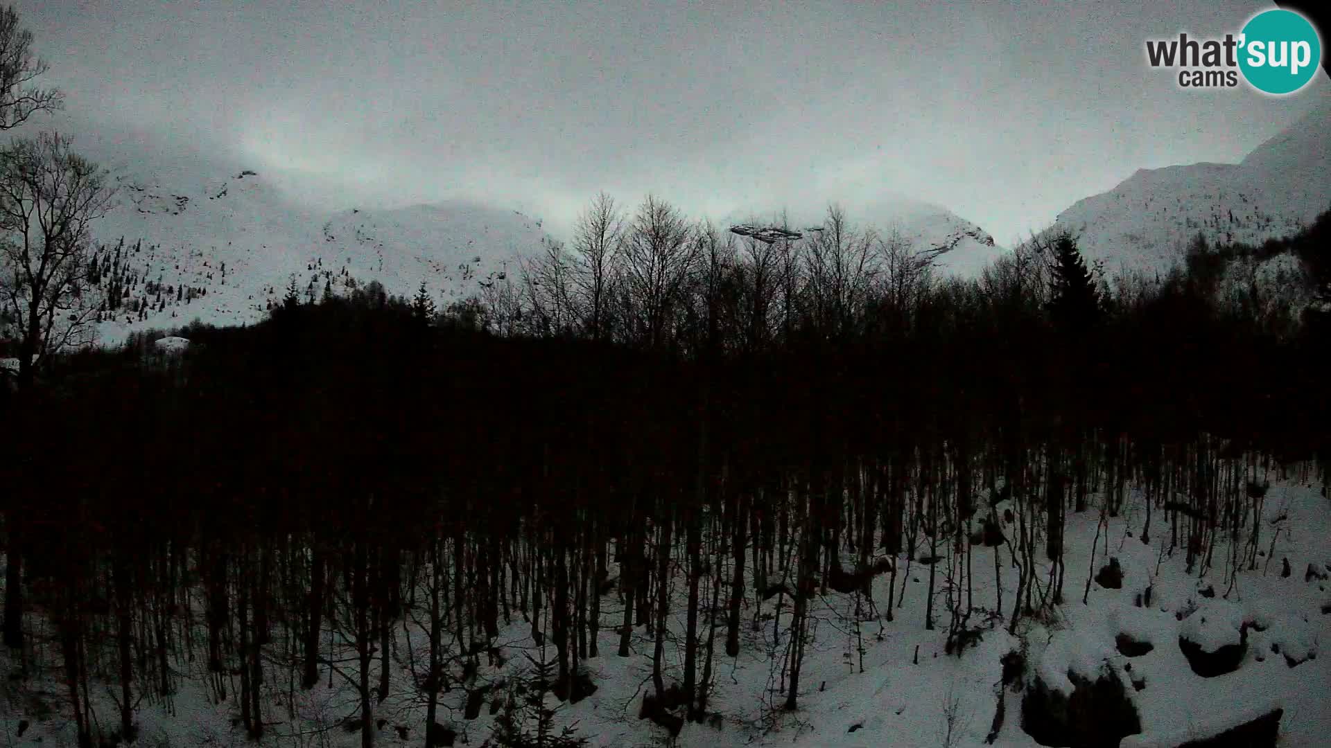 Webcam PLANINA RAZOR (1315) | Blick auf Vogel und Globoko