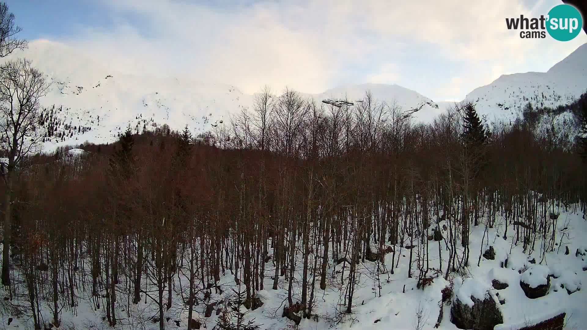 PLANINA RAZOR Live Cam (1315) | vista su Vogel e Globoko