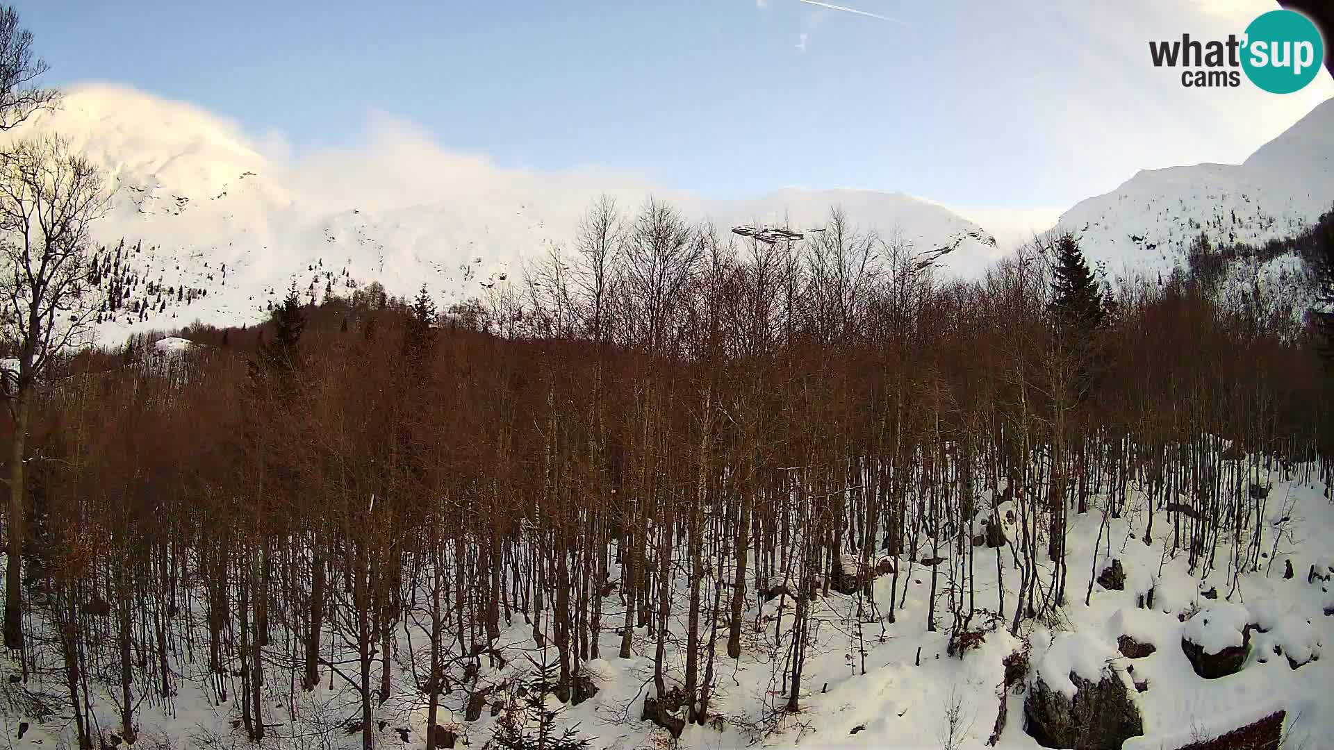Webcam PLANINA RAZOR (1315) | Blick auf Vogel und Globoko