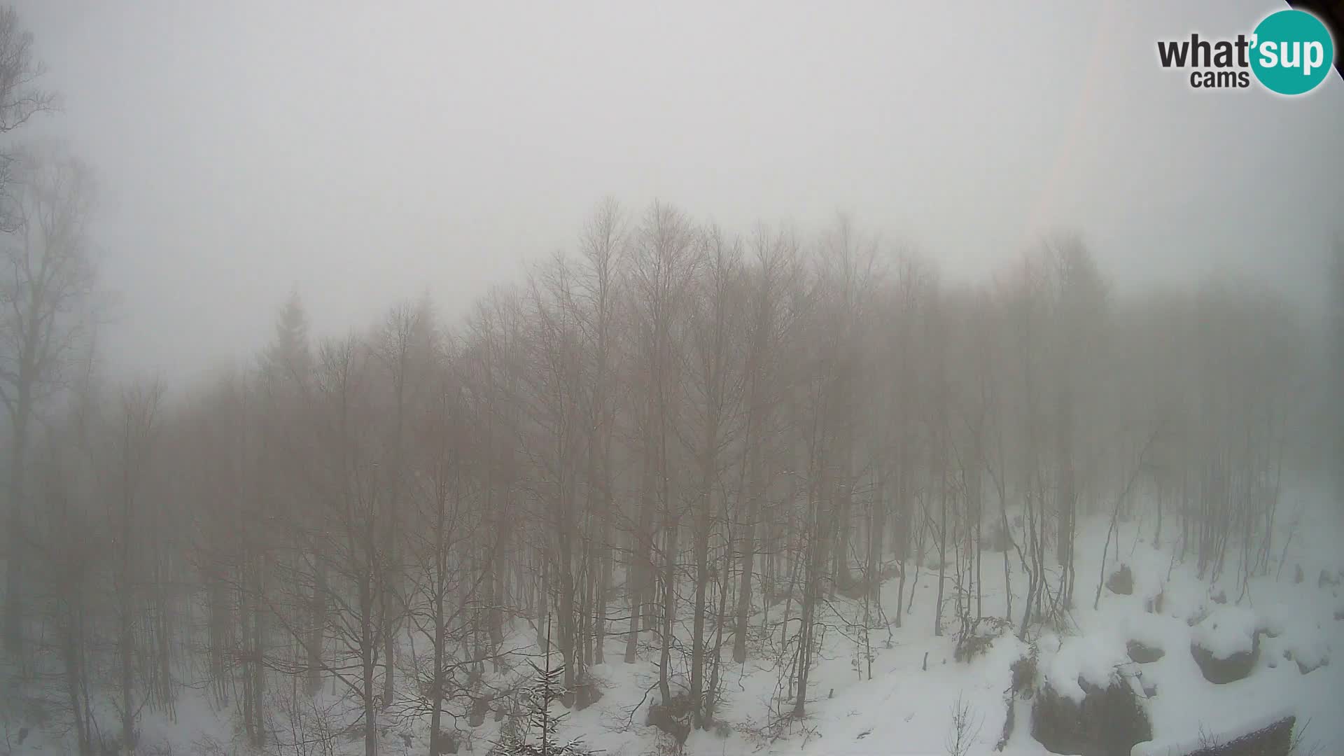 Webcam PLANINA RAZOR (1315) | Blick auf Vogel und Globoko