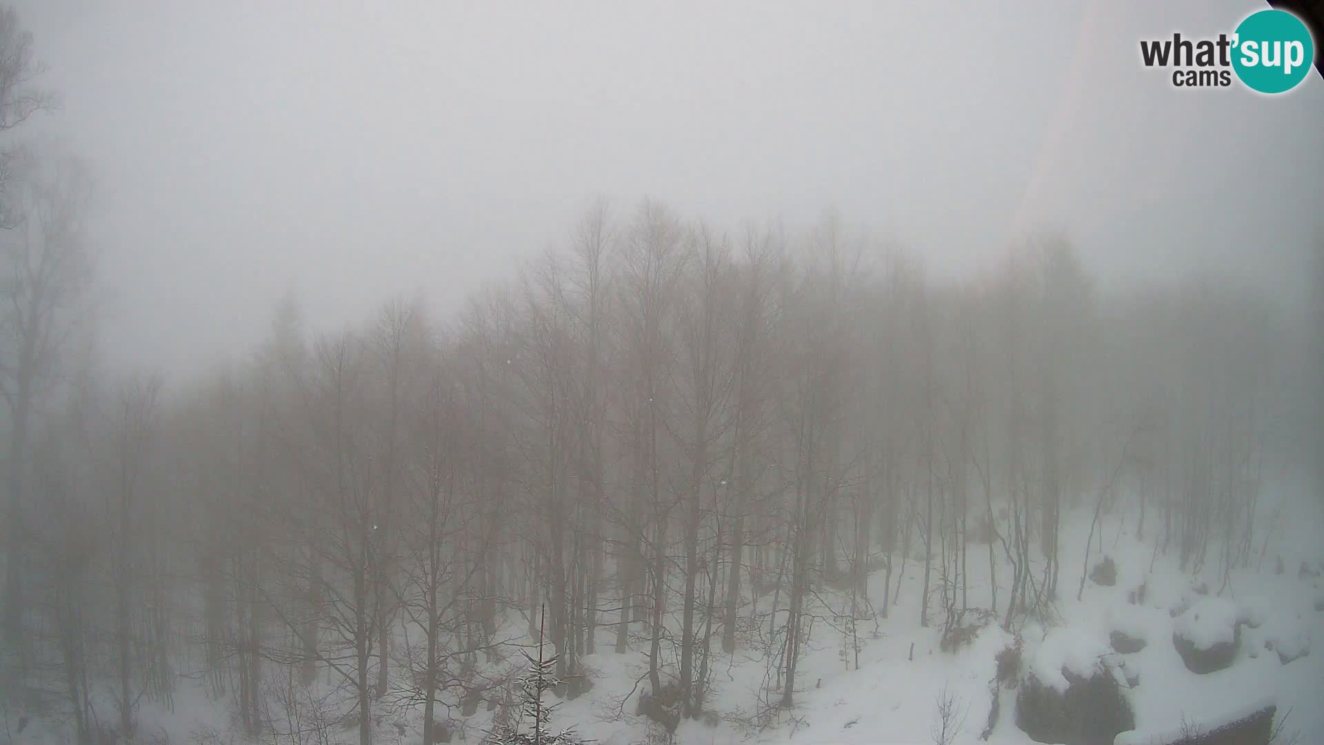 PLANINA RAZOR webcam (1315) | view to Vogel and Globoko