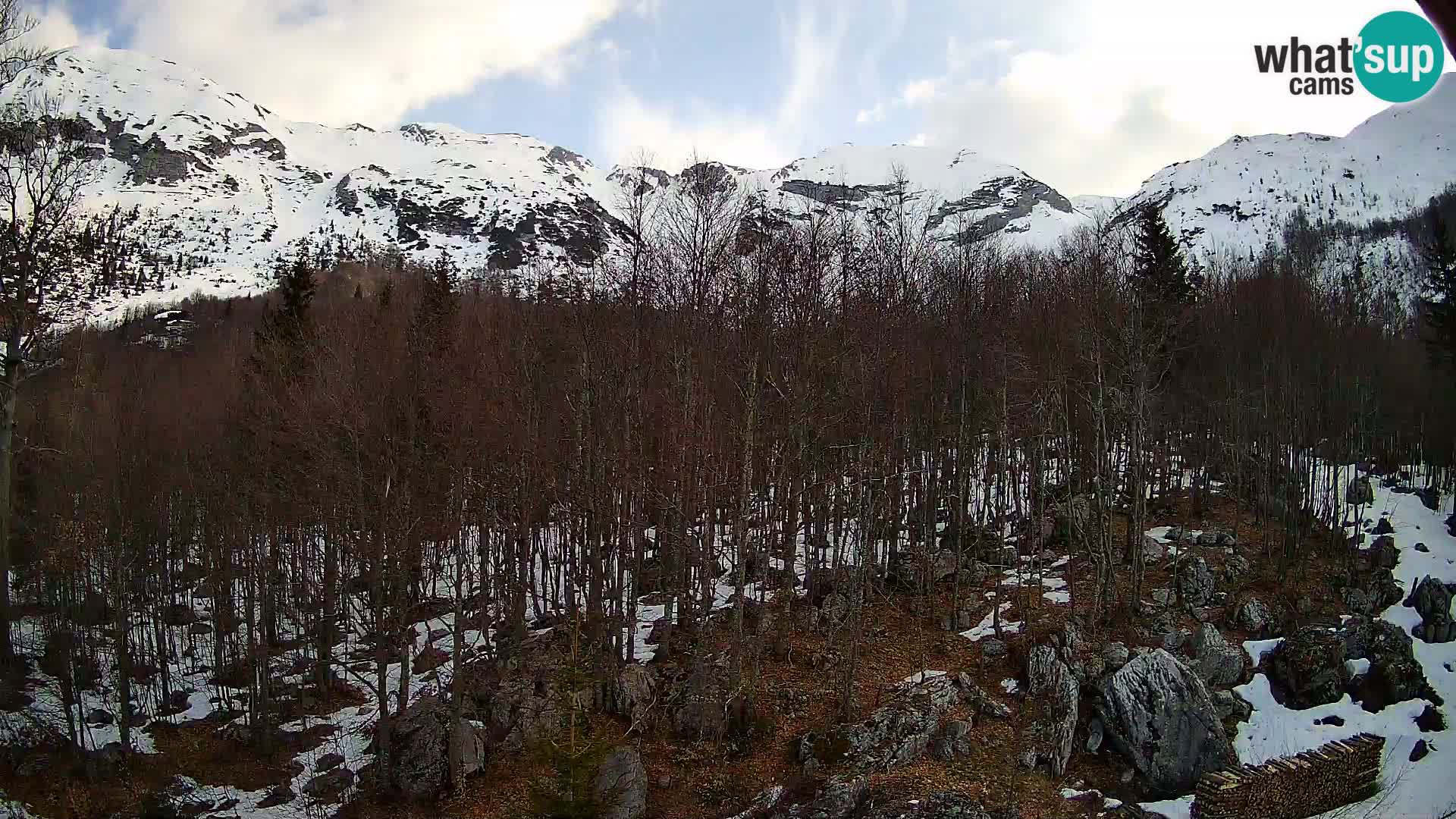Cámara web PLANINA RAZOR (1315) | vista a Vogel y Globoko