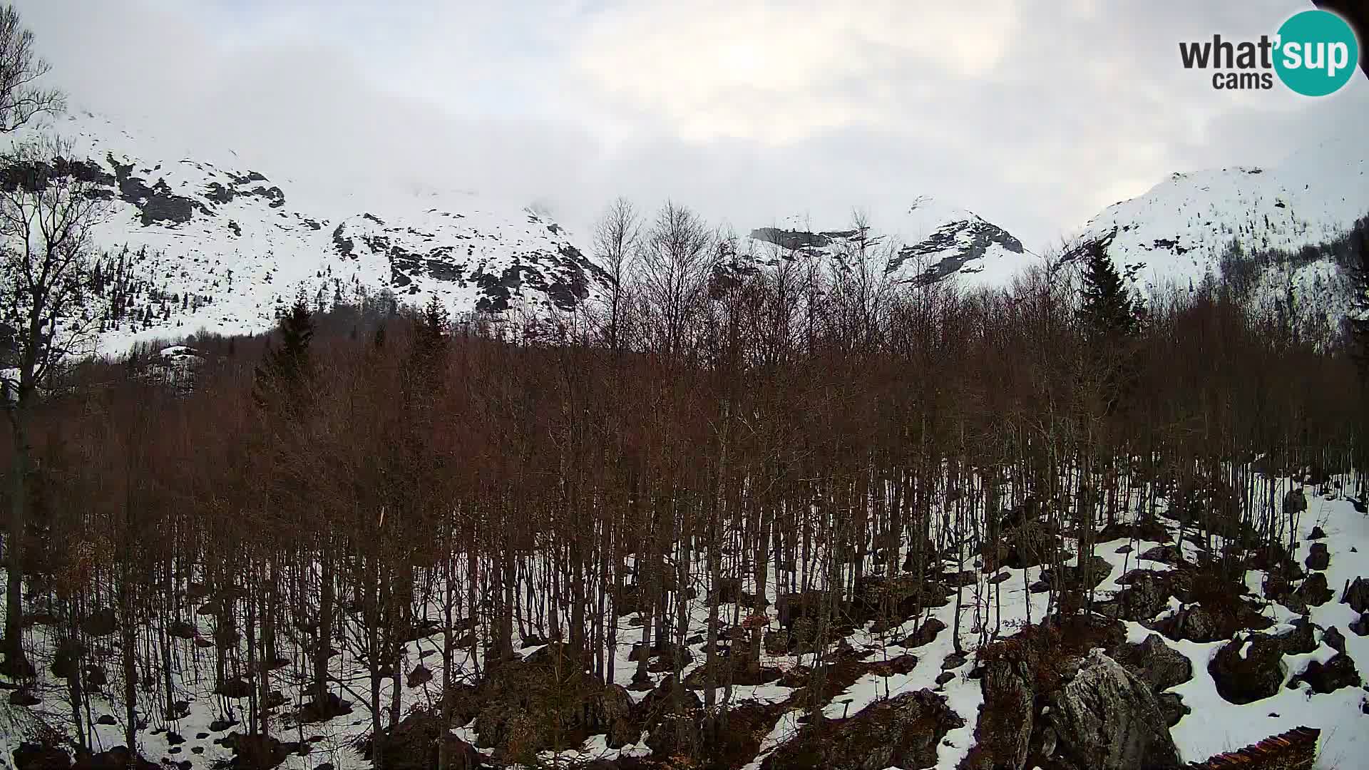 PLANINA RAZOR web kamera (1315) | pogled na Vogel i Globoko