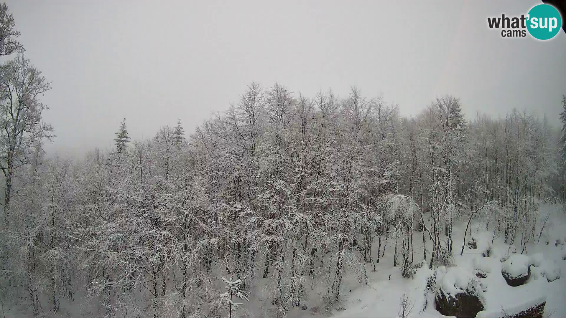 PLANINA RAZOR webcam (1315) | view to Vogel and Globoko