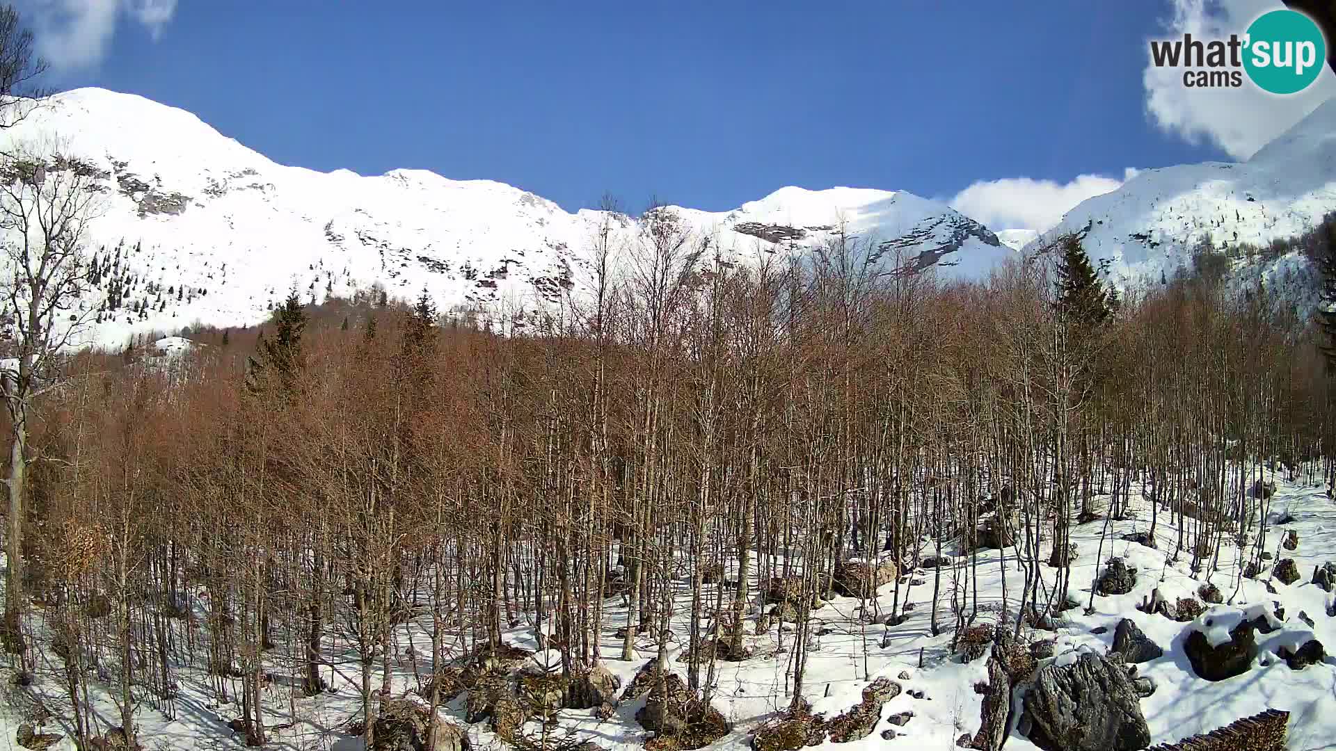 PLANINA RAZOR webcam (1315) | view to Vogel and Globoko