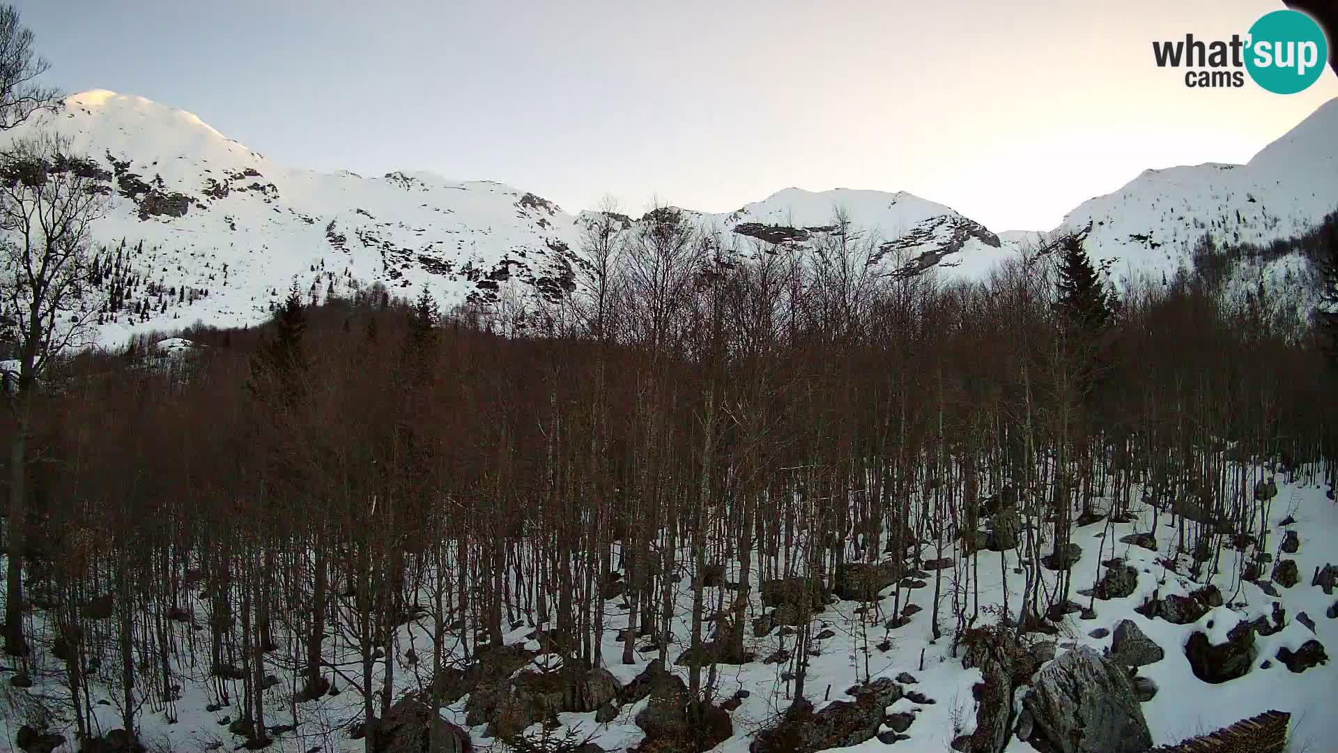 Cámara web PLANINA RAZOR (1315) | vista a Vogel y Globoko