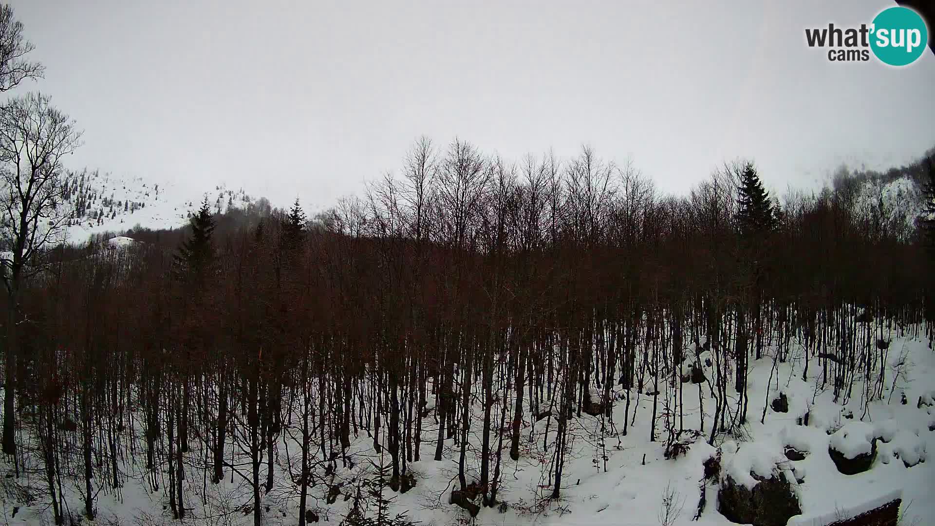 PLANINA RAZOR web kamera (1315) | pogled na Vogel i Globoko