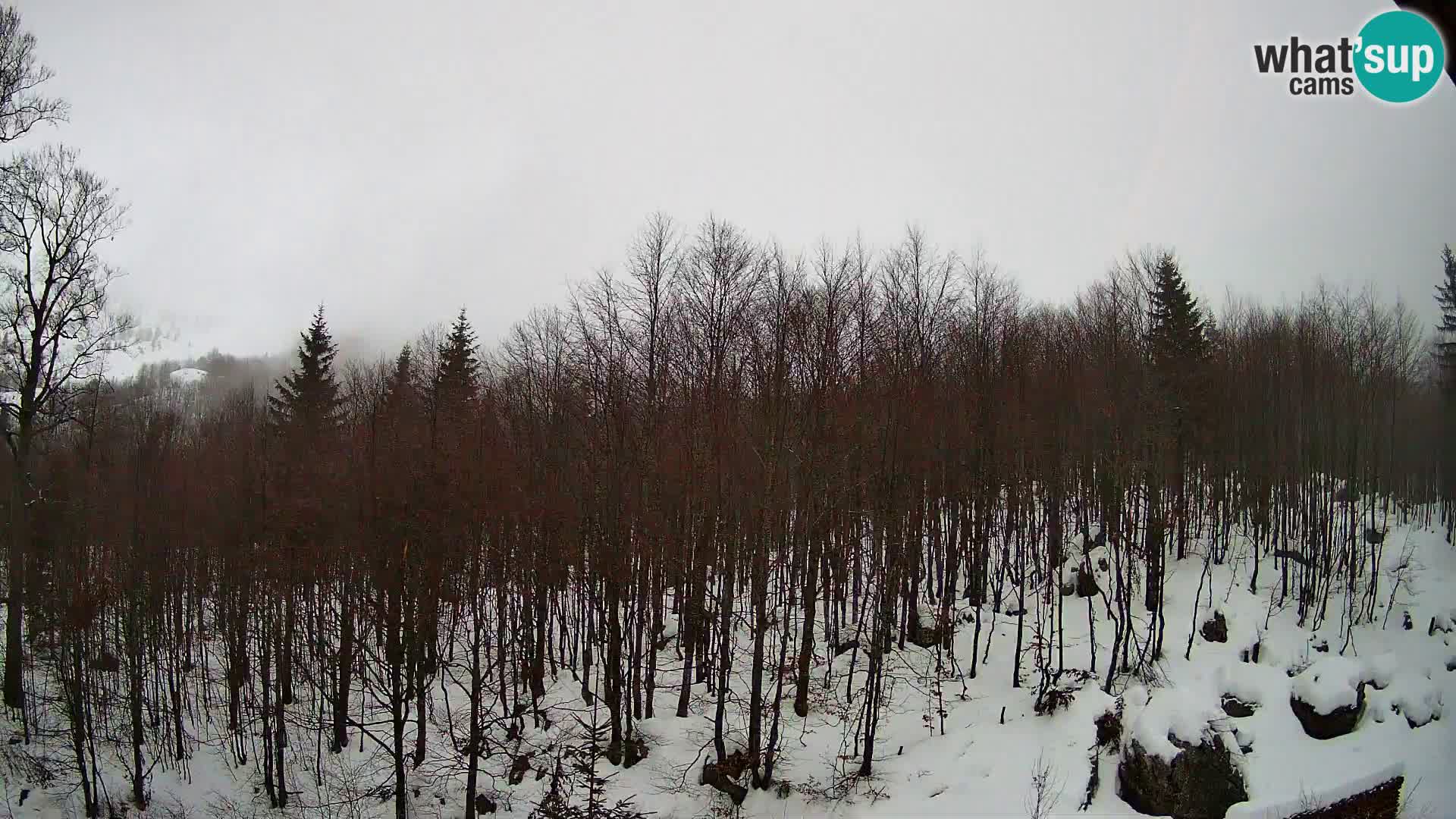 PLANINA RAZOR webcam (1315) | view to Vogel and Globoko