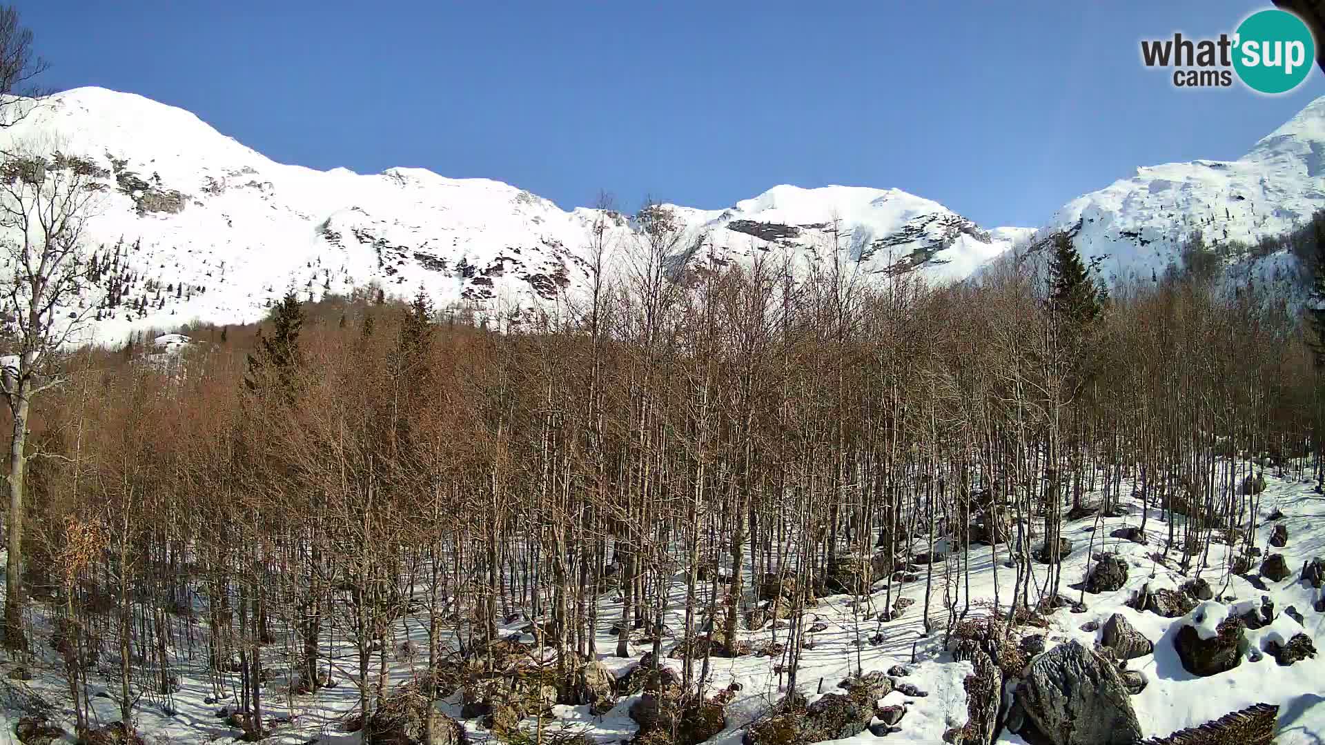 PLANINA RAZOR web kamera (1315) | pogled na Vogel i Globoko