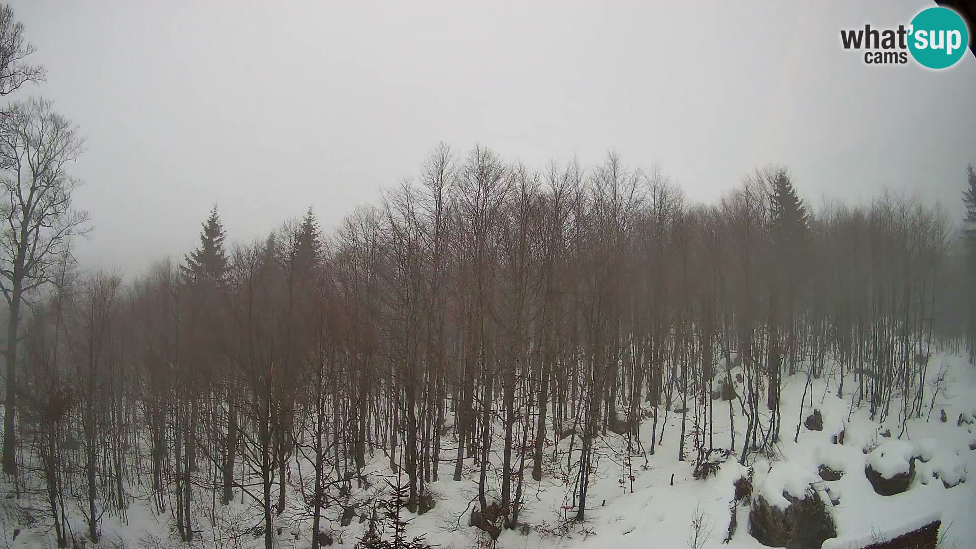 PLANINA RAZOR webcam (1315) | view to Vogel and Globoko