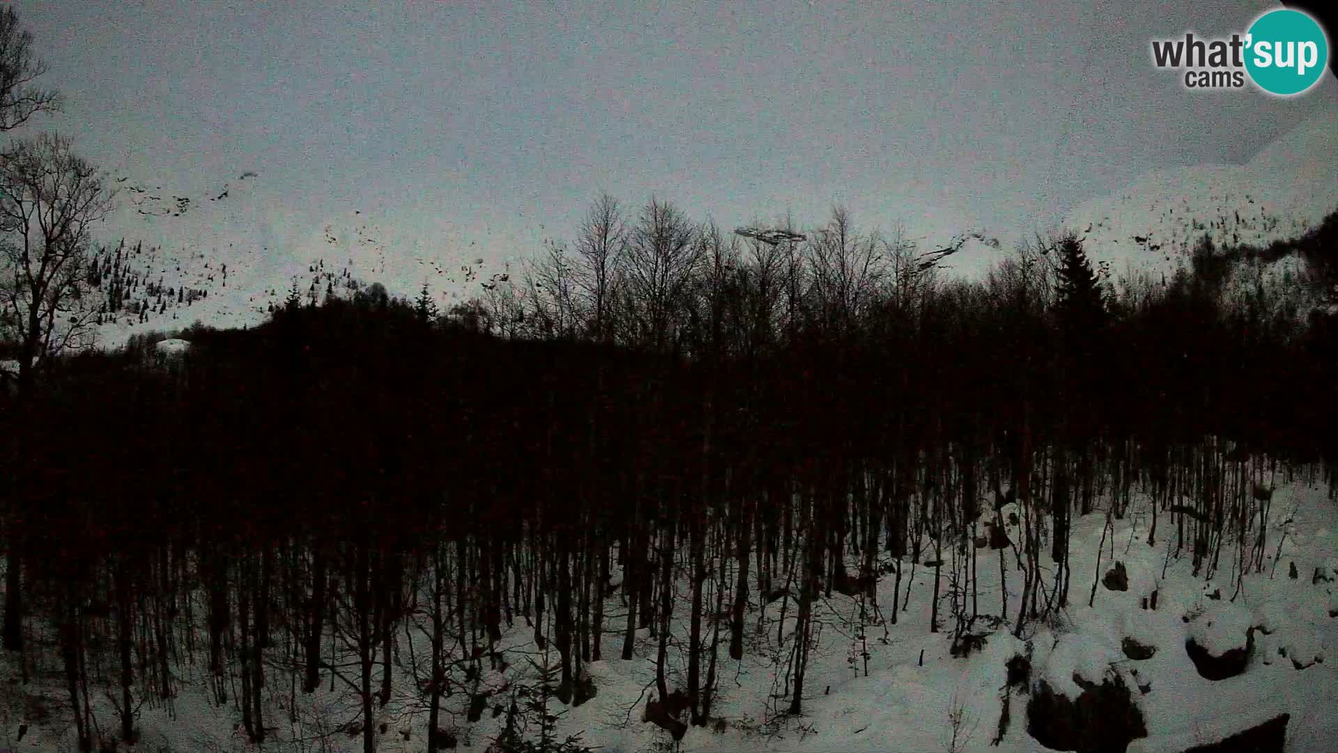 Cámara web PLANINA RAZOR (1315) | vista a Vogel y Globoko