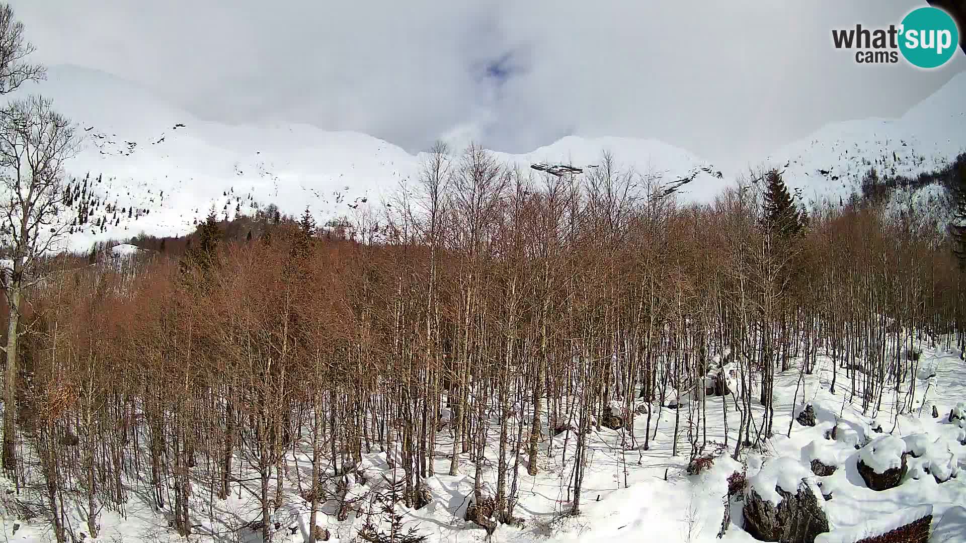 Webcam PLANINA RAZOR (1315) | Blick auf Vogel und Globoko