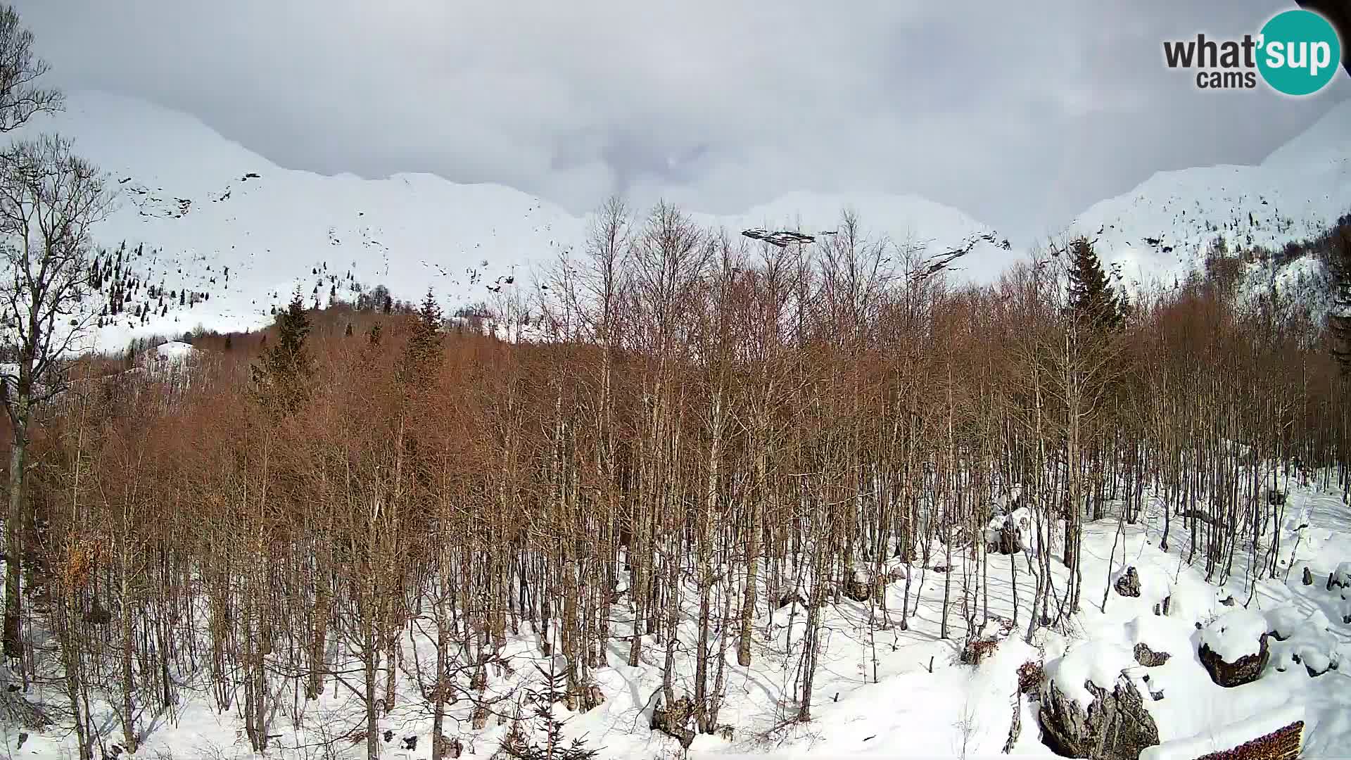 Webcam PLANINA RAZOR (1315) | Blick auf Vogel und Globoko