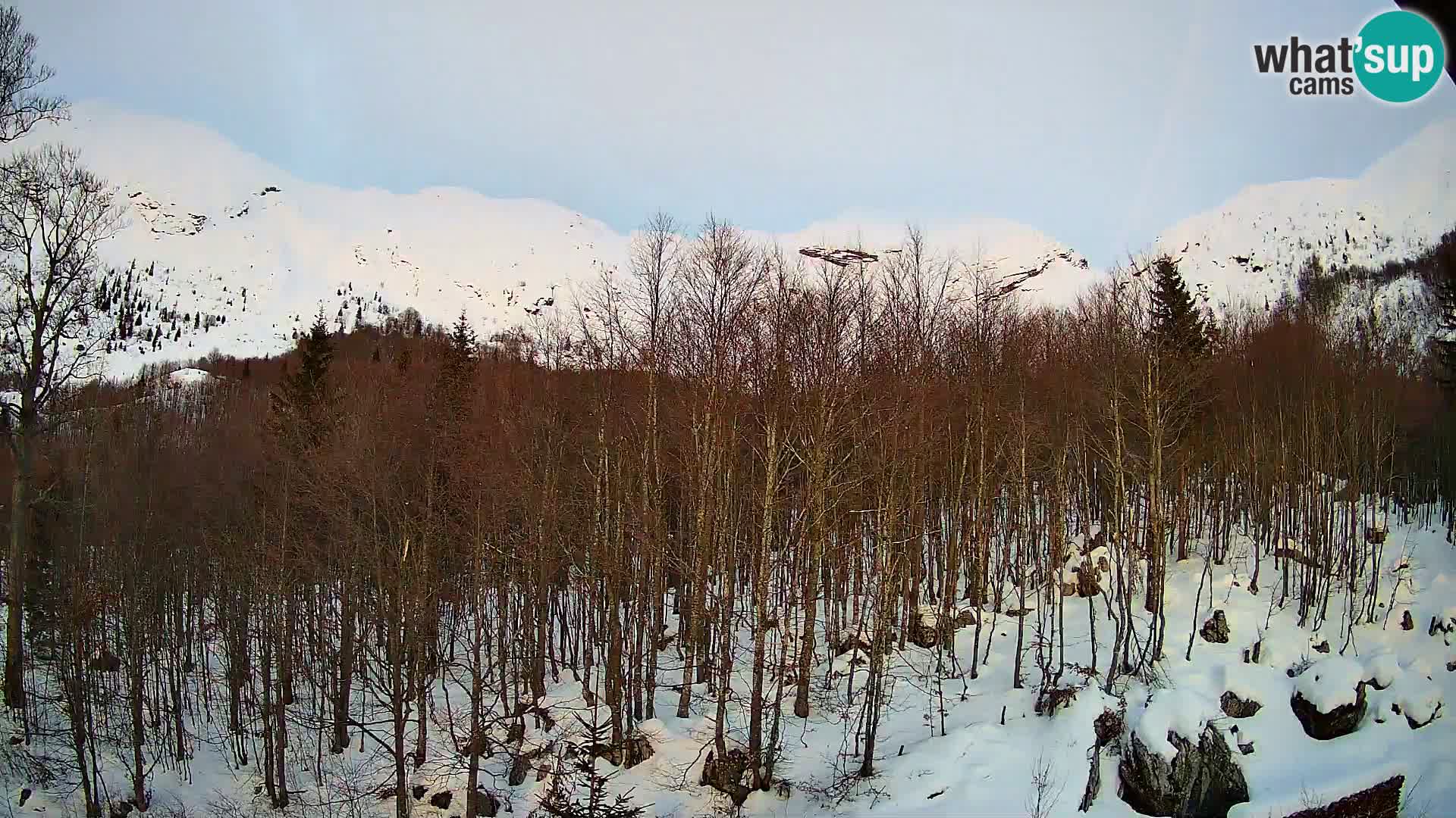 PLANINA RAZOR Live Cam (1315) | vista su Vogel e Globoko