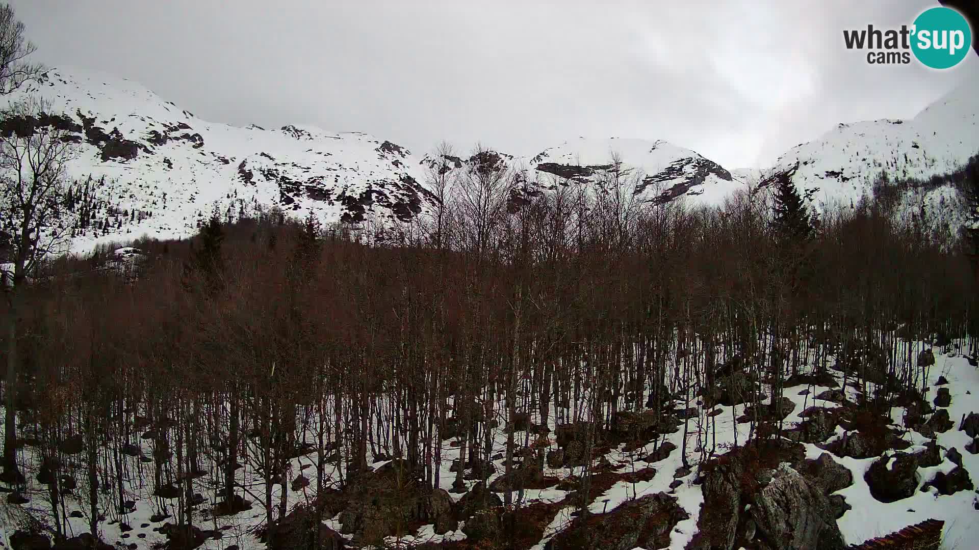 PLANINA RAZOR Live Cam (1315) | vista su Vogel e Globoko