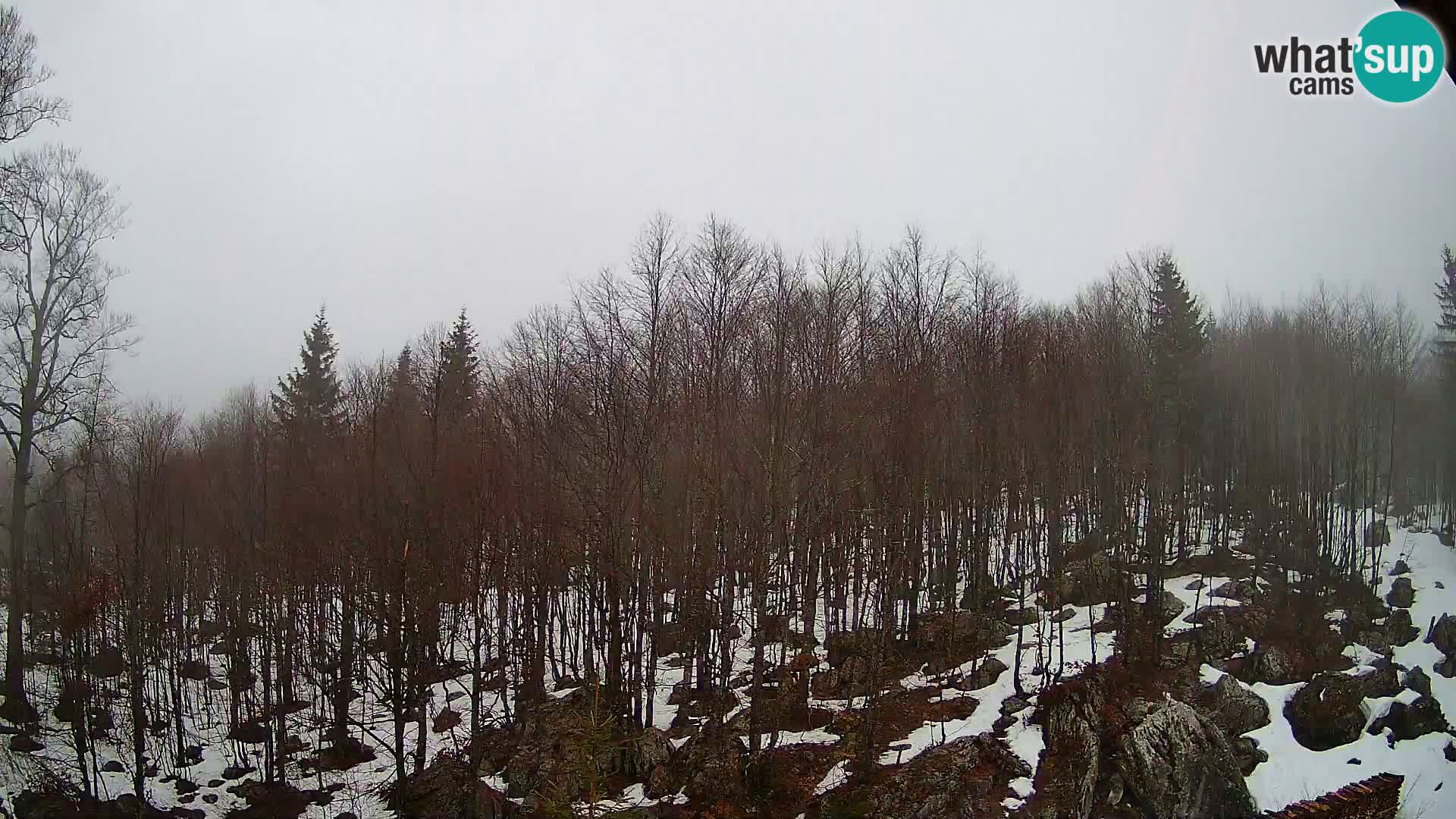 PLANINA RAZOR webcam (1315) | view to Vogel and Globoko