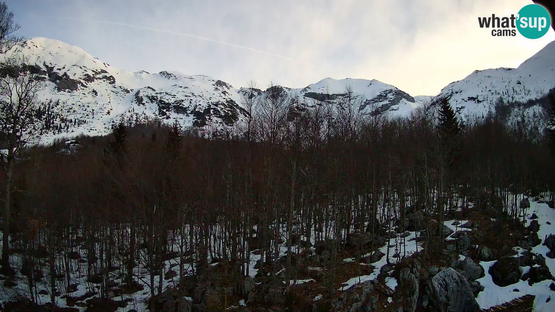 PLANINA RAZOR web kamera (1315) | pogled na Vogel i Globoko