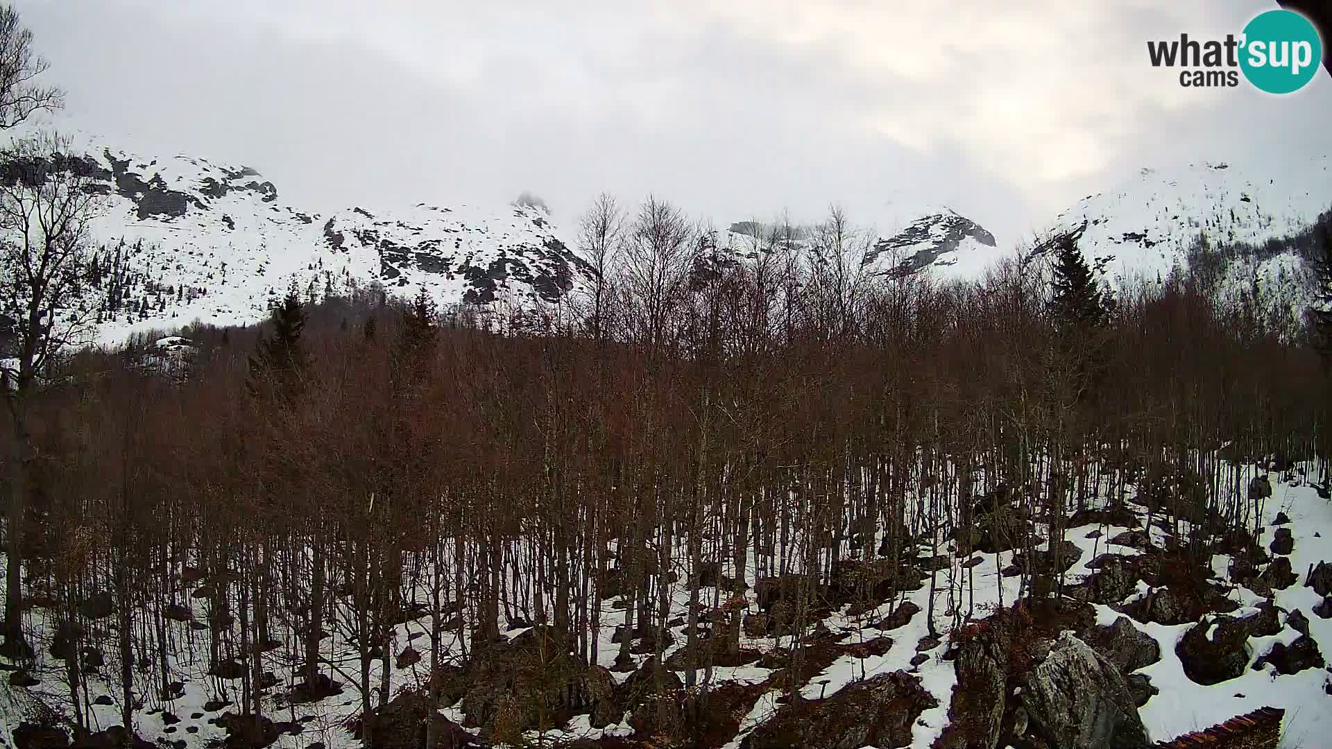 Webcam PLANINA RAZOR (1315) | Blick auf Vogel und Globoko