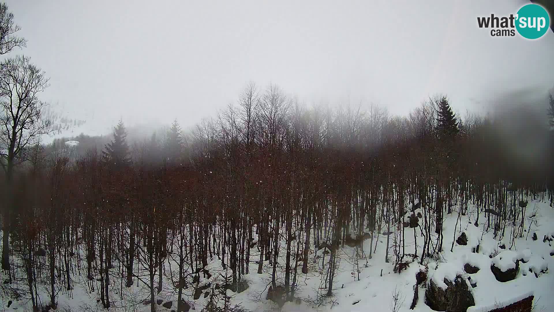 Livecam PLANINA RAZOR (1315) | vue sur Vogel et Globoko