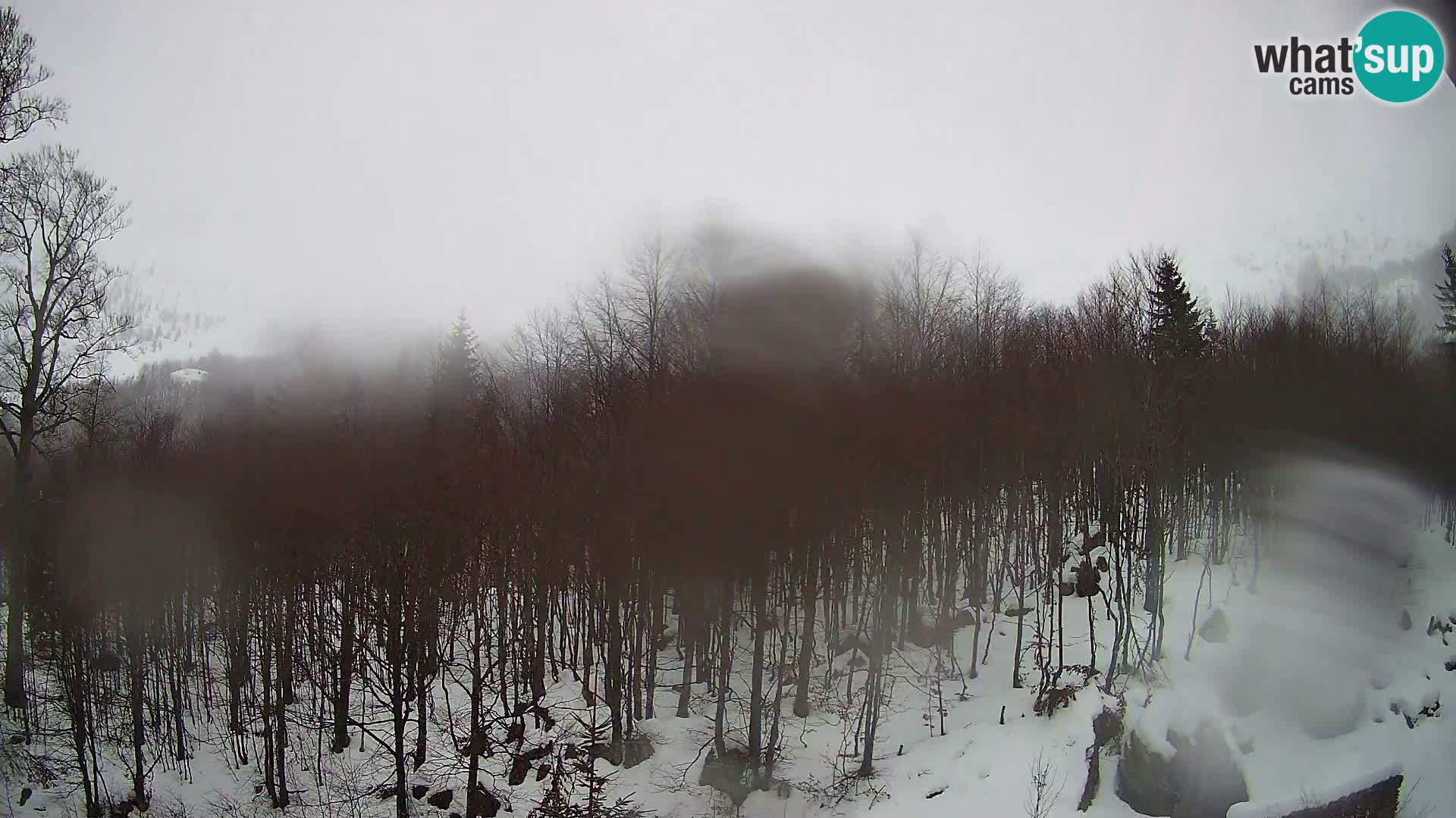 PLANINA RAZOR webcam (1315) | view to Vogel and Globoko