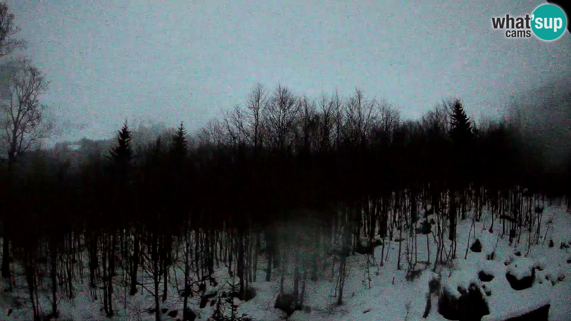 PLANINA RAZOR kamera (1315) | pogled na Vogel in Globoko