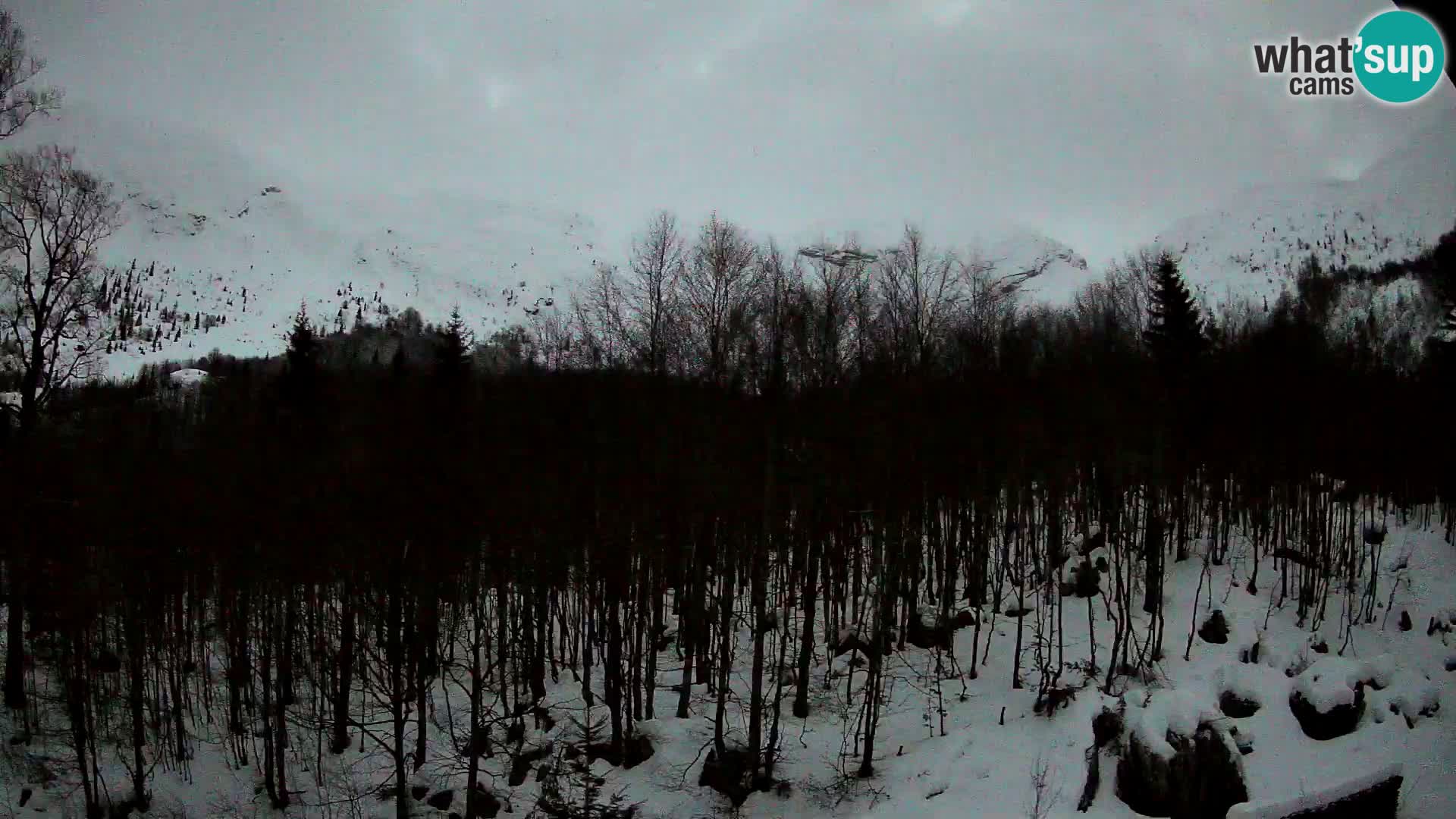 PLANINA RAZOR kamera (1315) | pogled na Vogel in Globoko