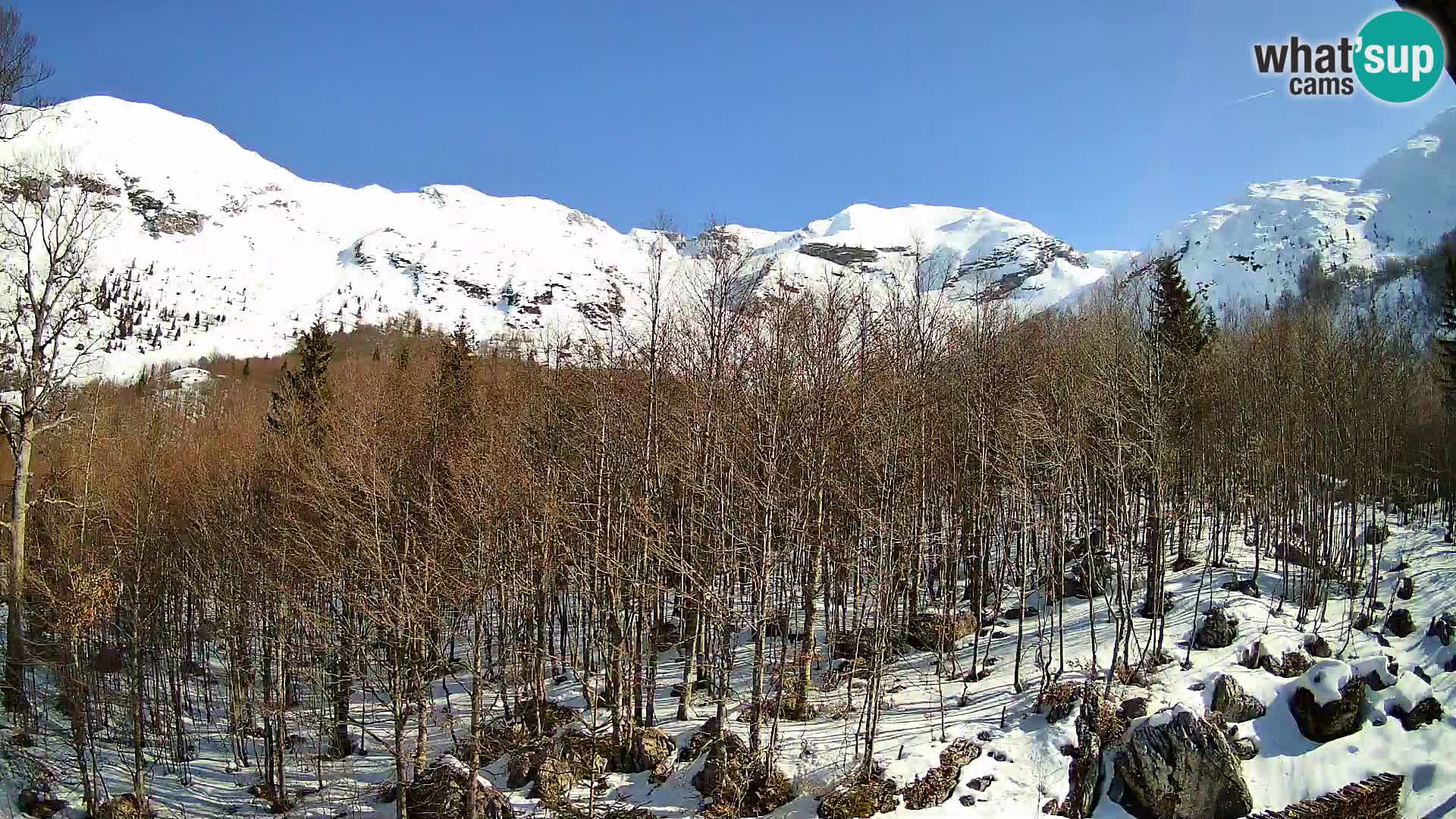 PLANINA RAZOR webcam (1315) | view to Vogel and Globoko